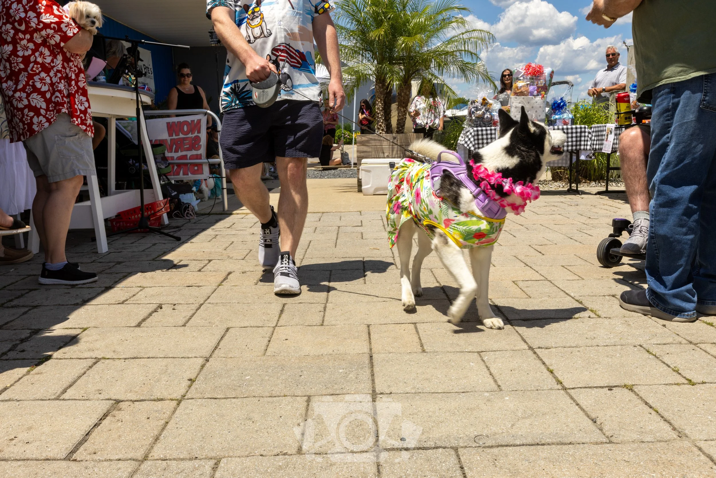IMG_4174.jpg