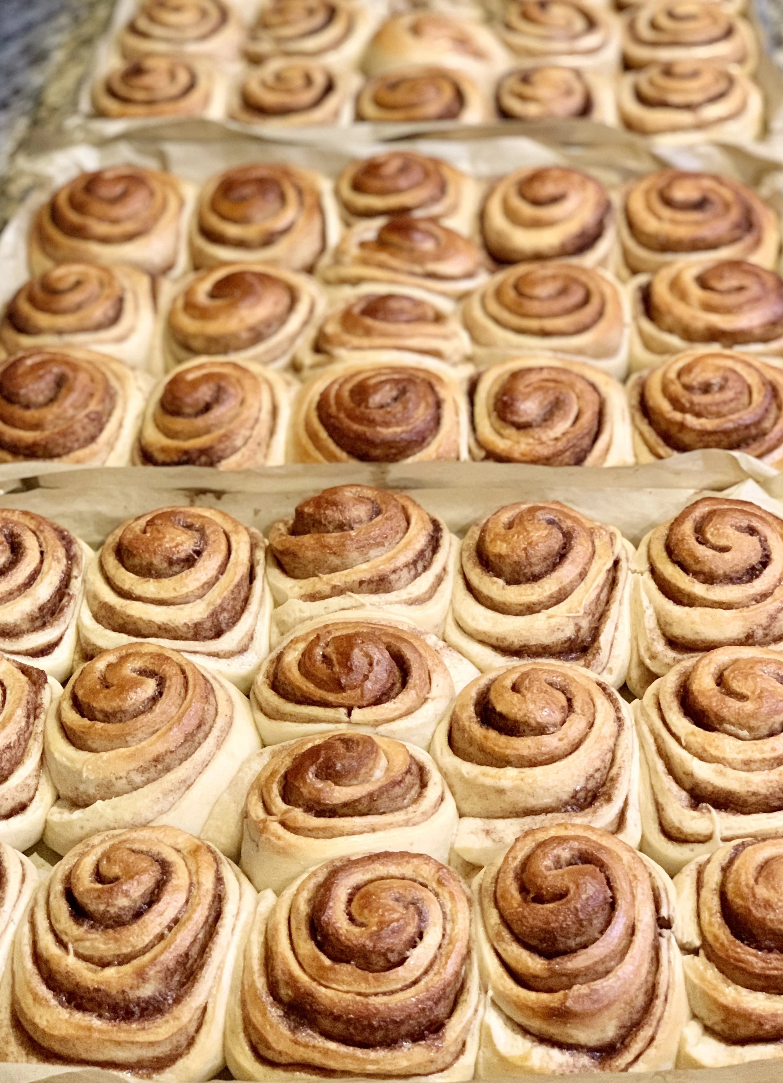 Cinnamon Rolls