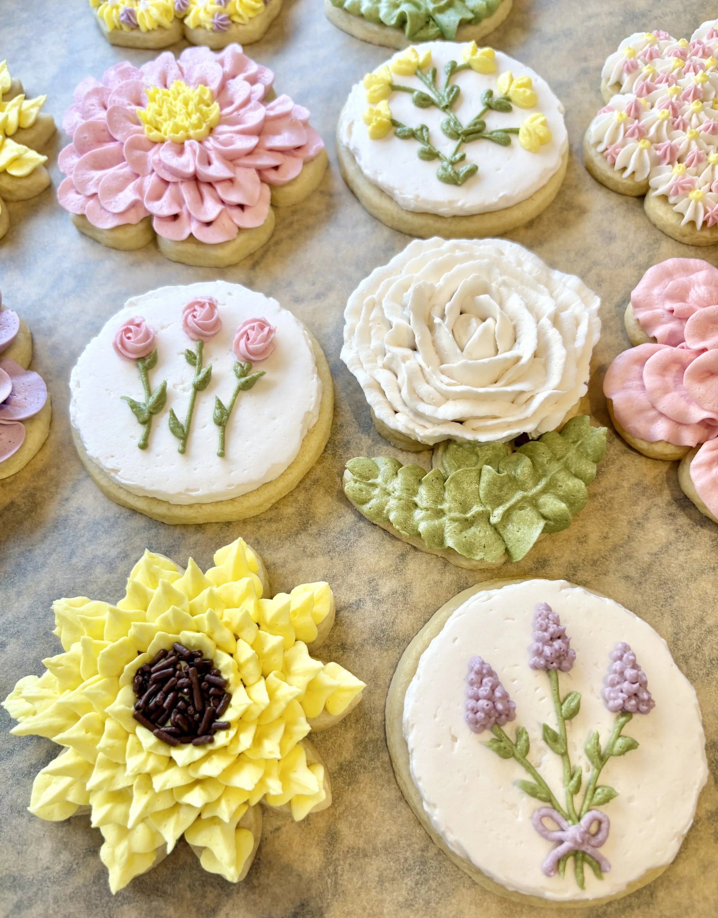 Frosted Sugar Cookies