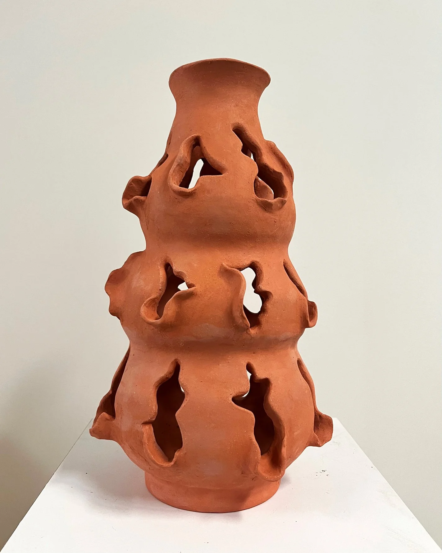 Whimsical Organic Vases