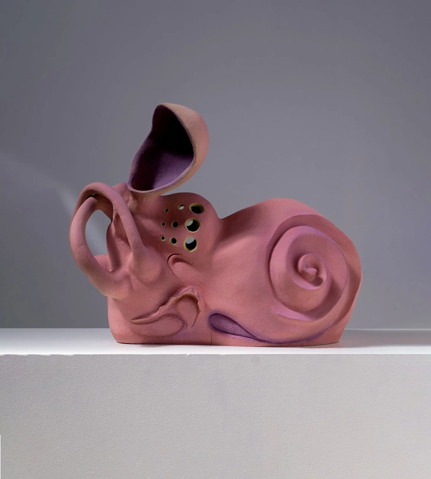 Cochlea Sound Ship