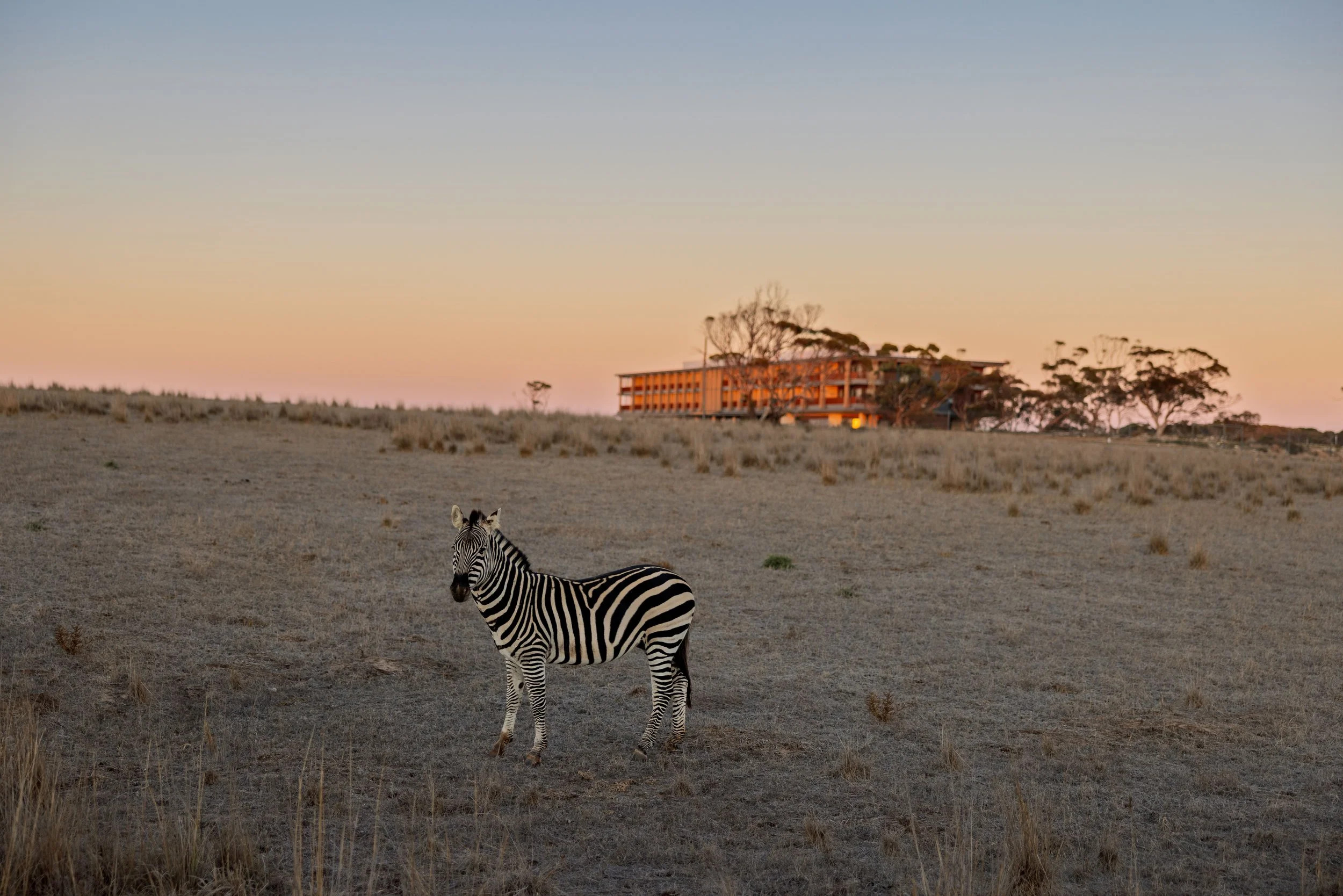 Twin Share room at Monarto Safari Resort