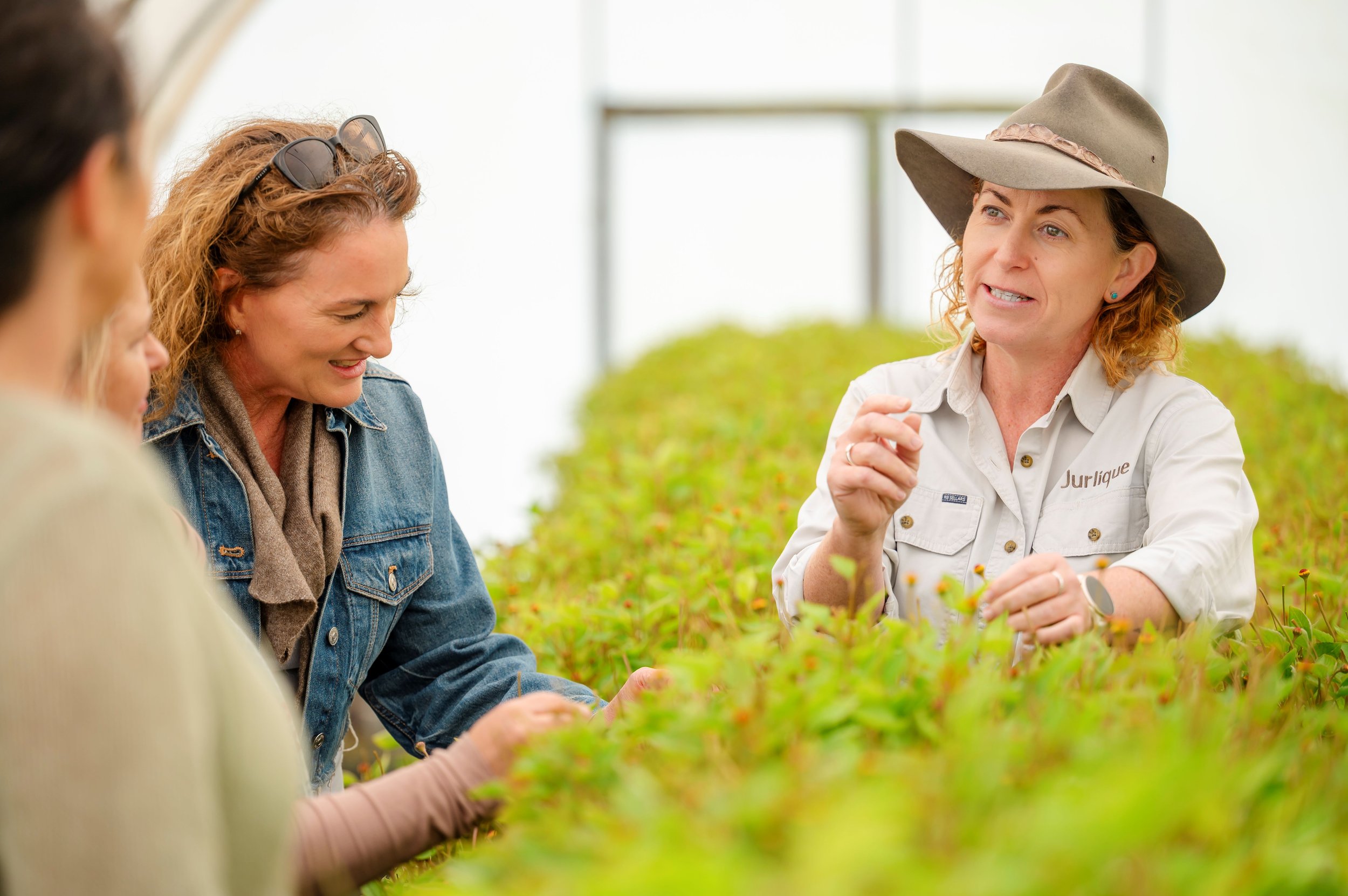 Guided Tour through the Jurlique Farm, as part of the Senses in Harmony Tour Experience, in South Australia's Adelaide Hills.