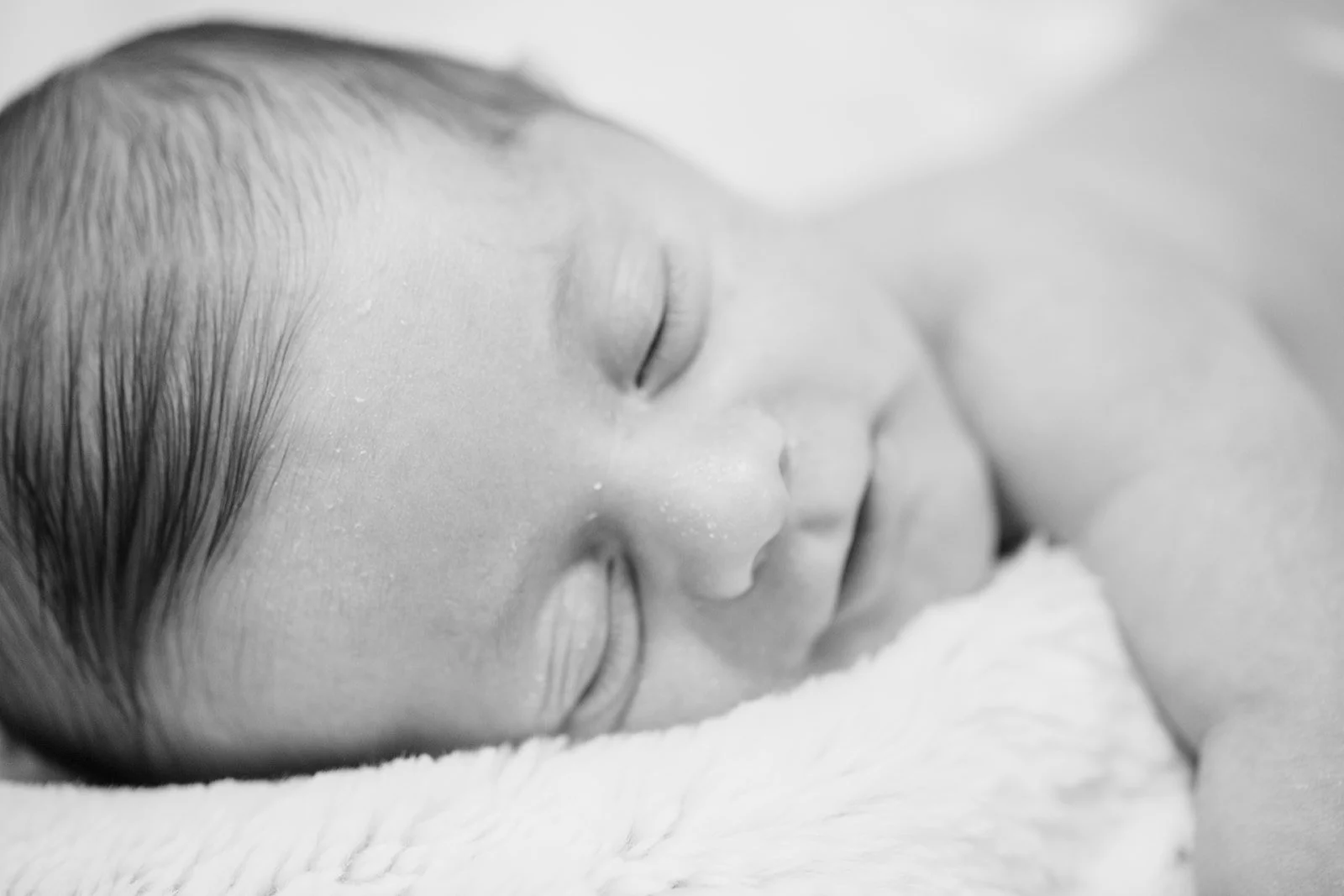 NEWBORN PORTRAIT.jpg