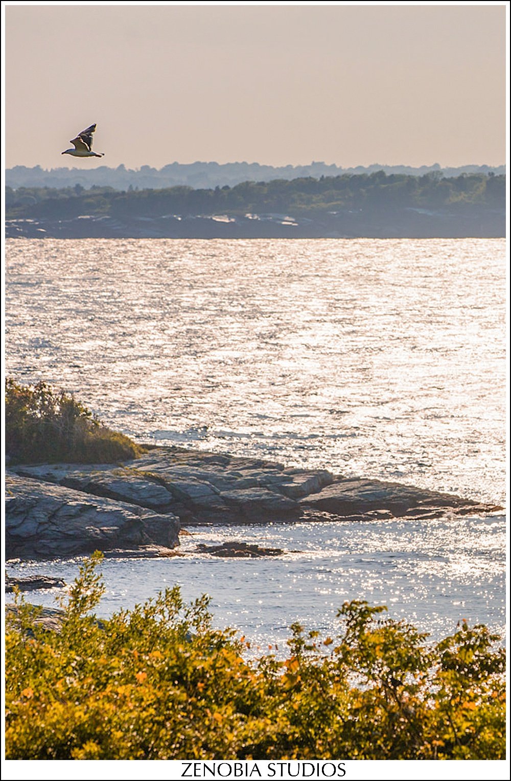 pdLgs521716064x_oceancliff-mansion-newport-ri-weddings.jpg
