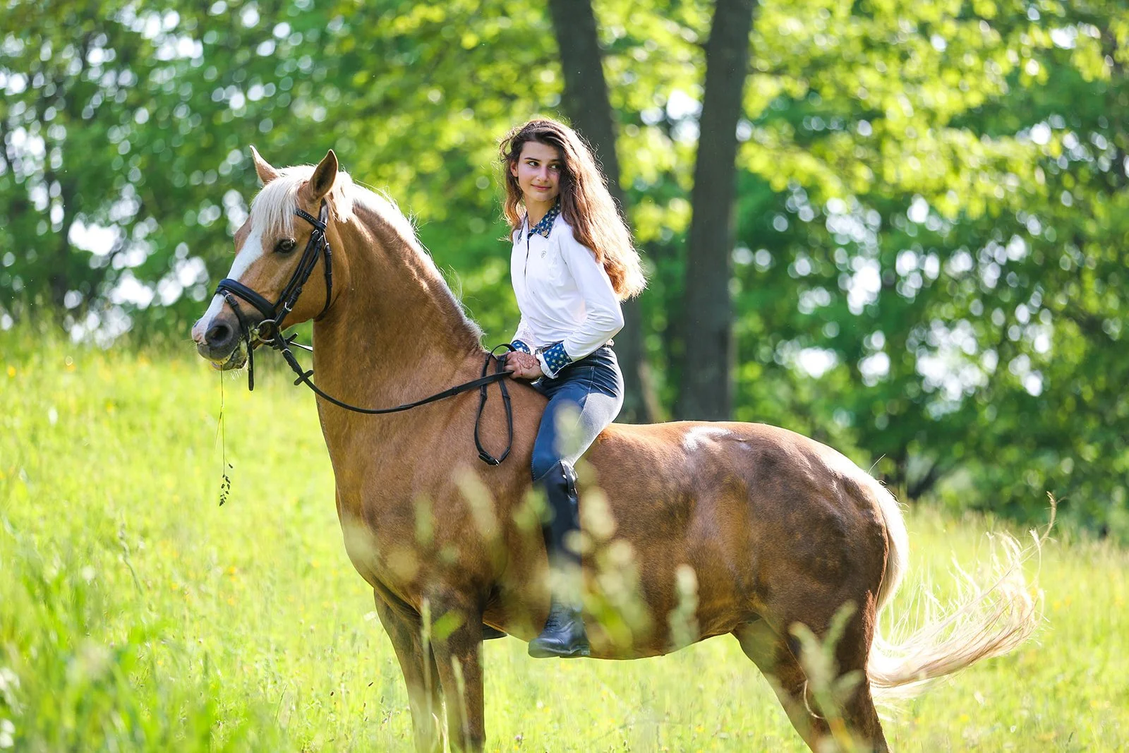13th Birthday Shoot for Taylor, her pup and her horse, Faith Hill Farm