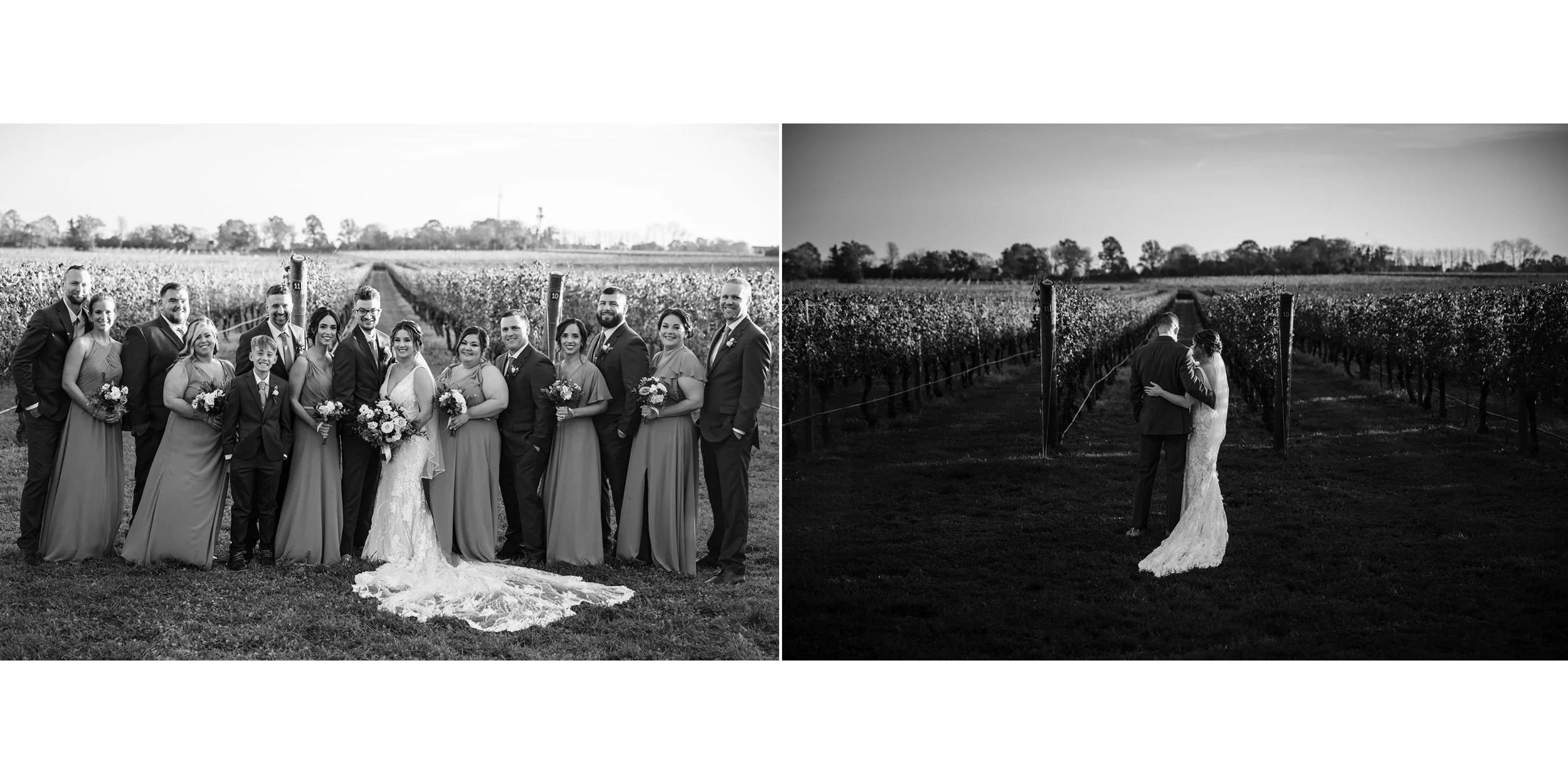 Newport Vineyards 10.jpg