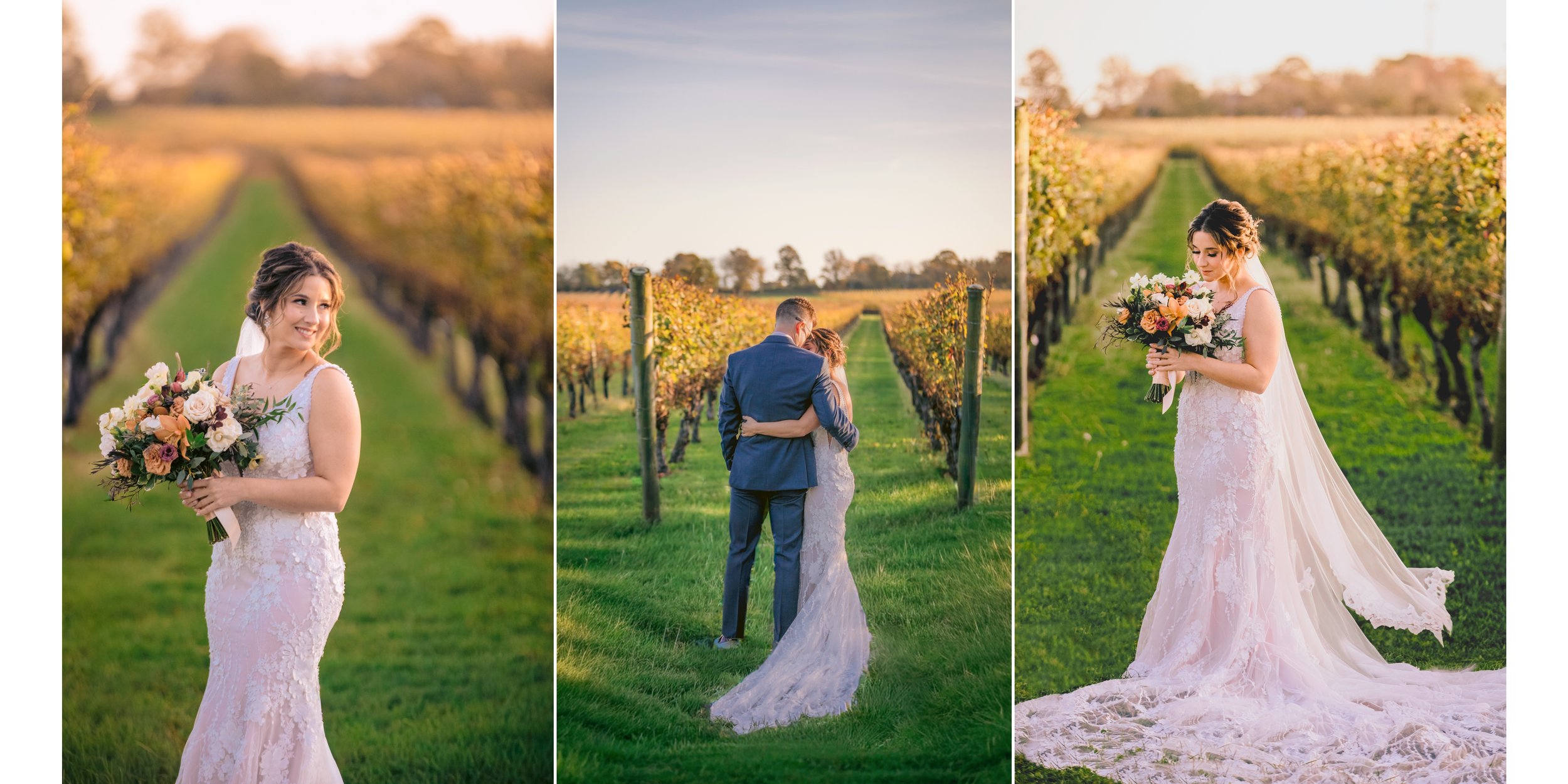 Newport Vineyards 11.jpg