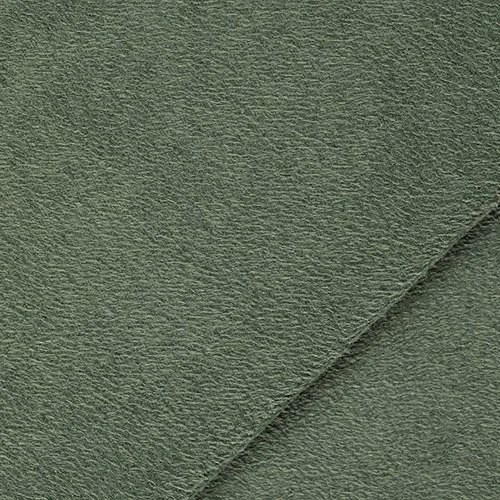 DS 29.jpg