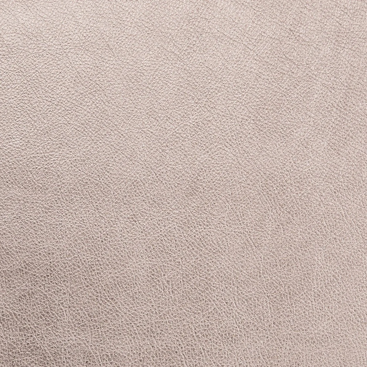 Leather-Metallic-Millennium.jpg