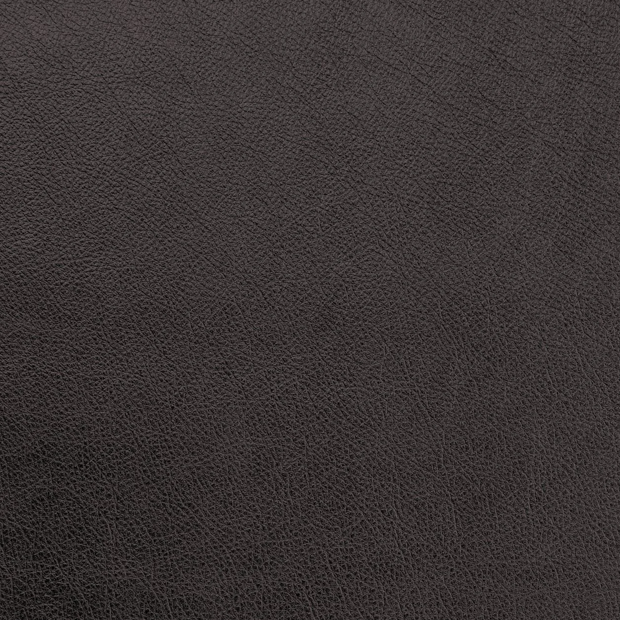 Leather-Metallic-Raven.jpg