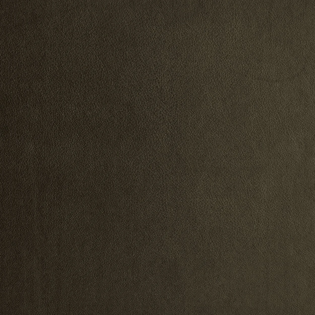 Leather-Standard-BlackOlive.jpg
