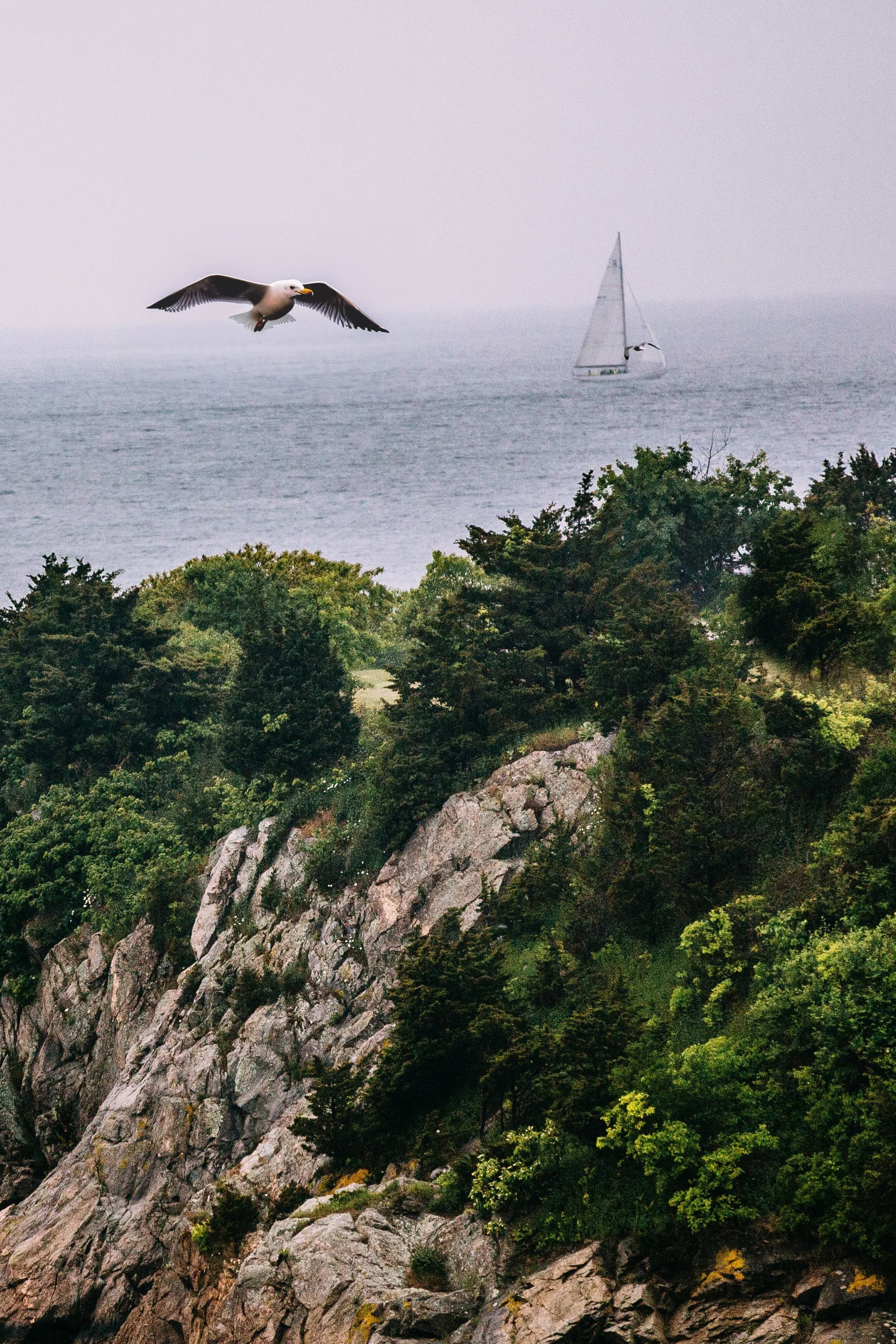 cliff and sailboat copy.jpg