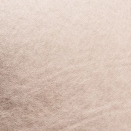 MS Albums LEATHER_0000s_0002_champagne.jpg