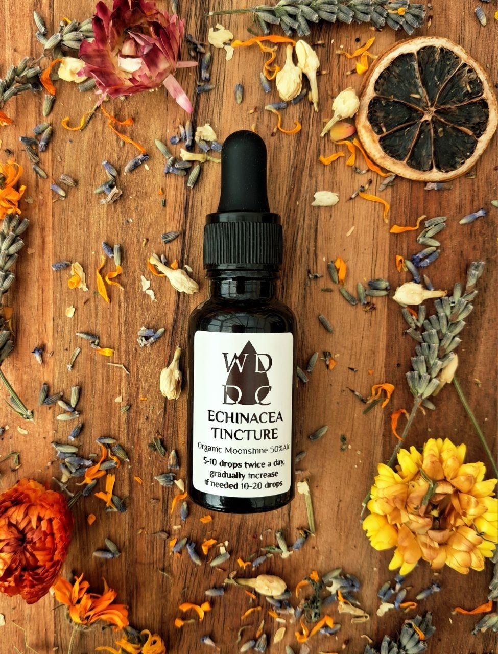 ECHINACEA TINCTURE