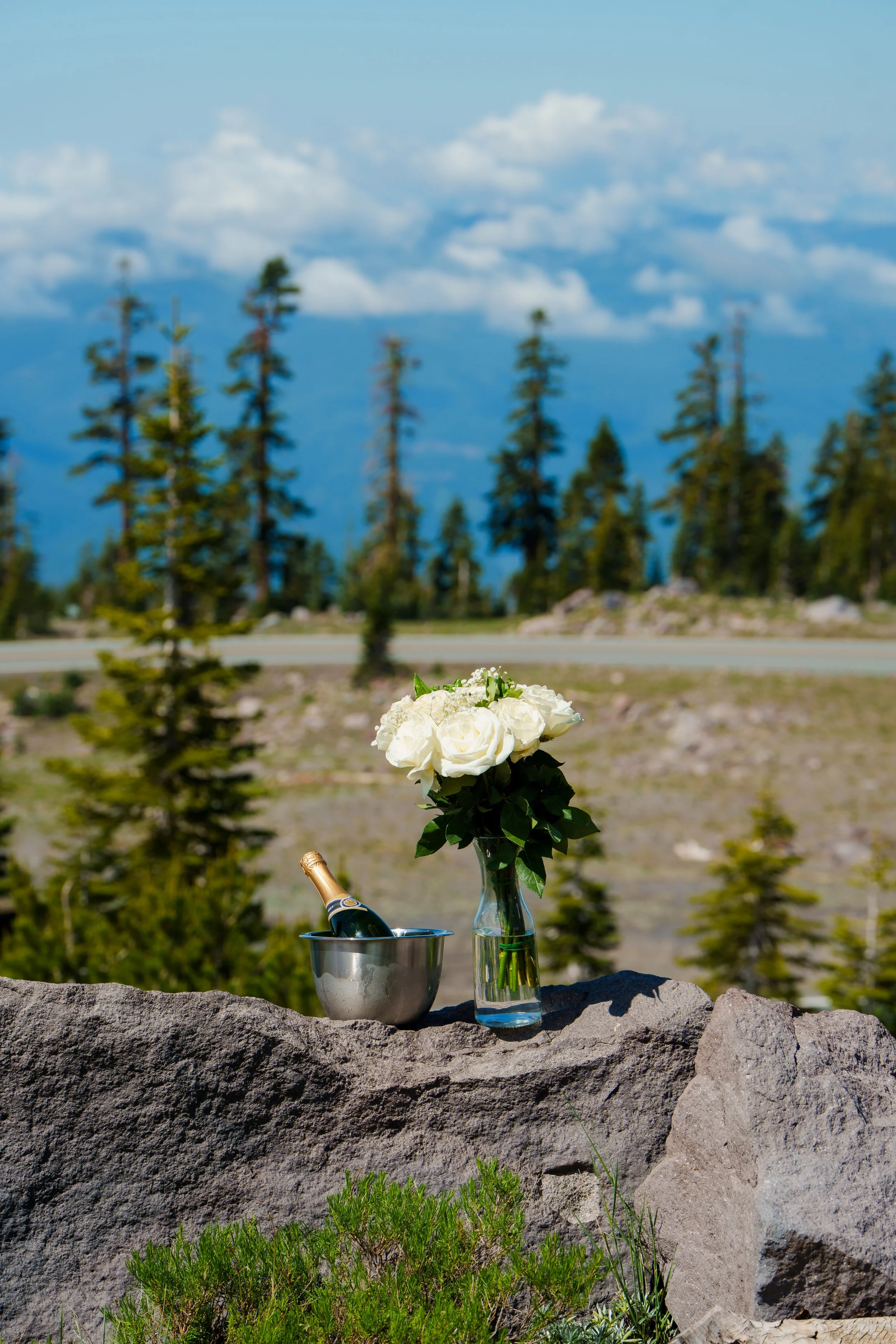 Proposal at Panther Meadows in Mount Shasta, California (CA)