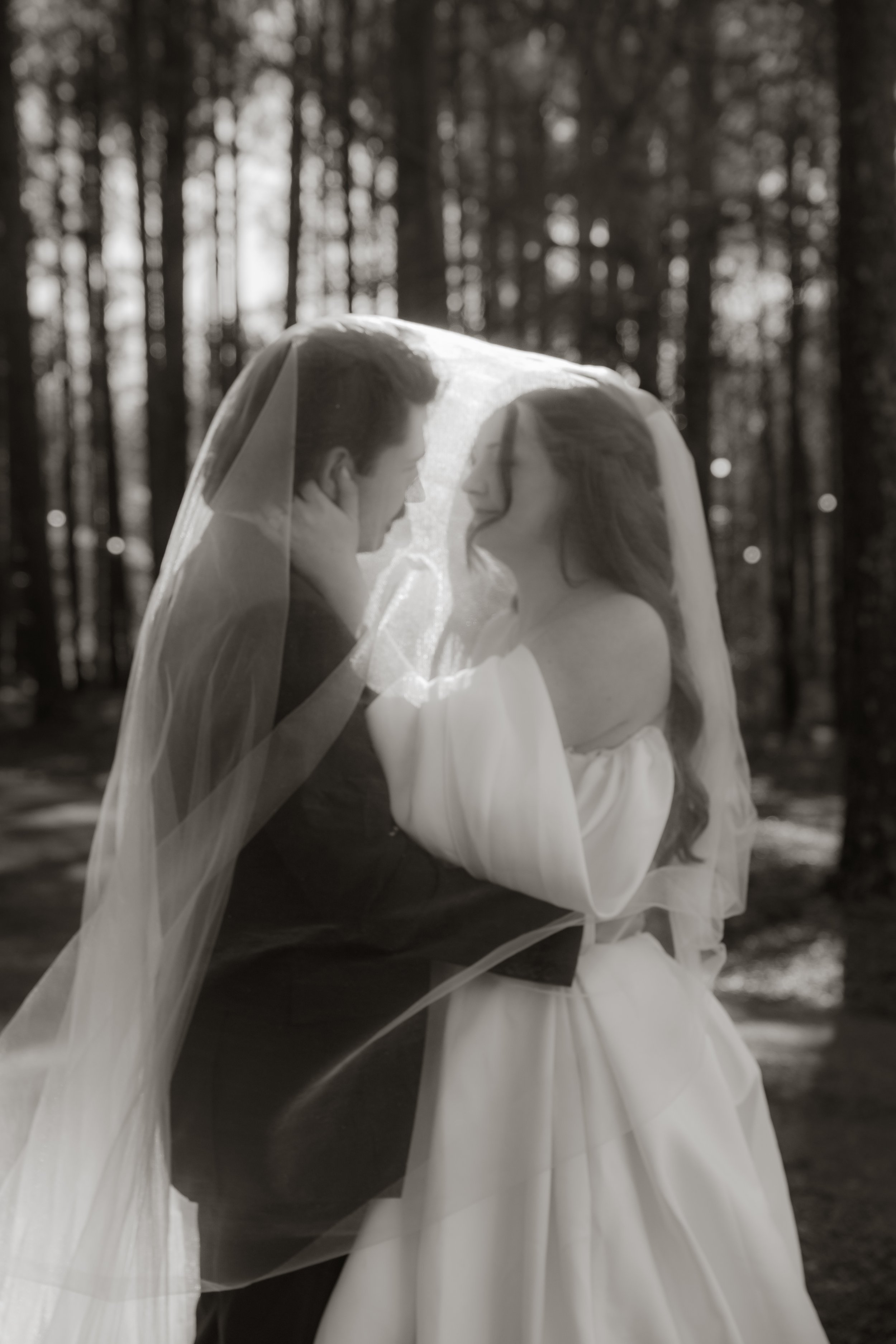 Bride and Groom gazing at each other under the bride's veil, black and white