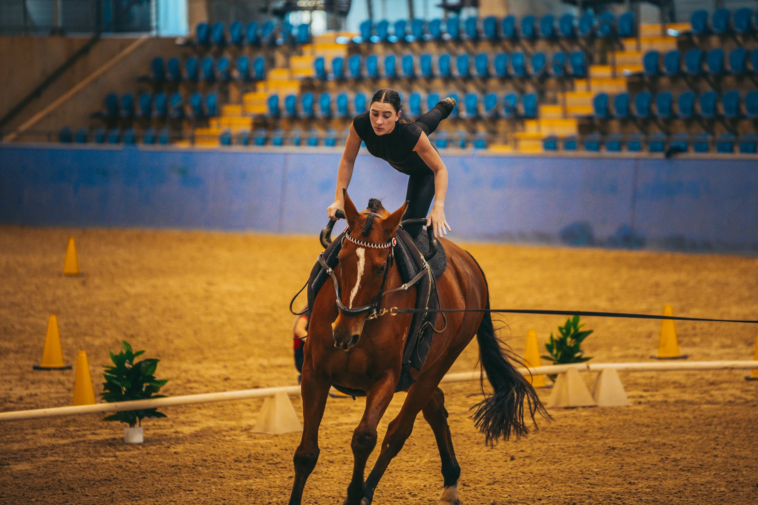 A woman practicing mounted archery on a horse inside an indoor arena, with orange traffic cones and green plants as obstacles.