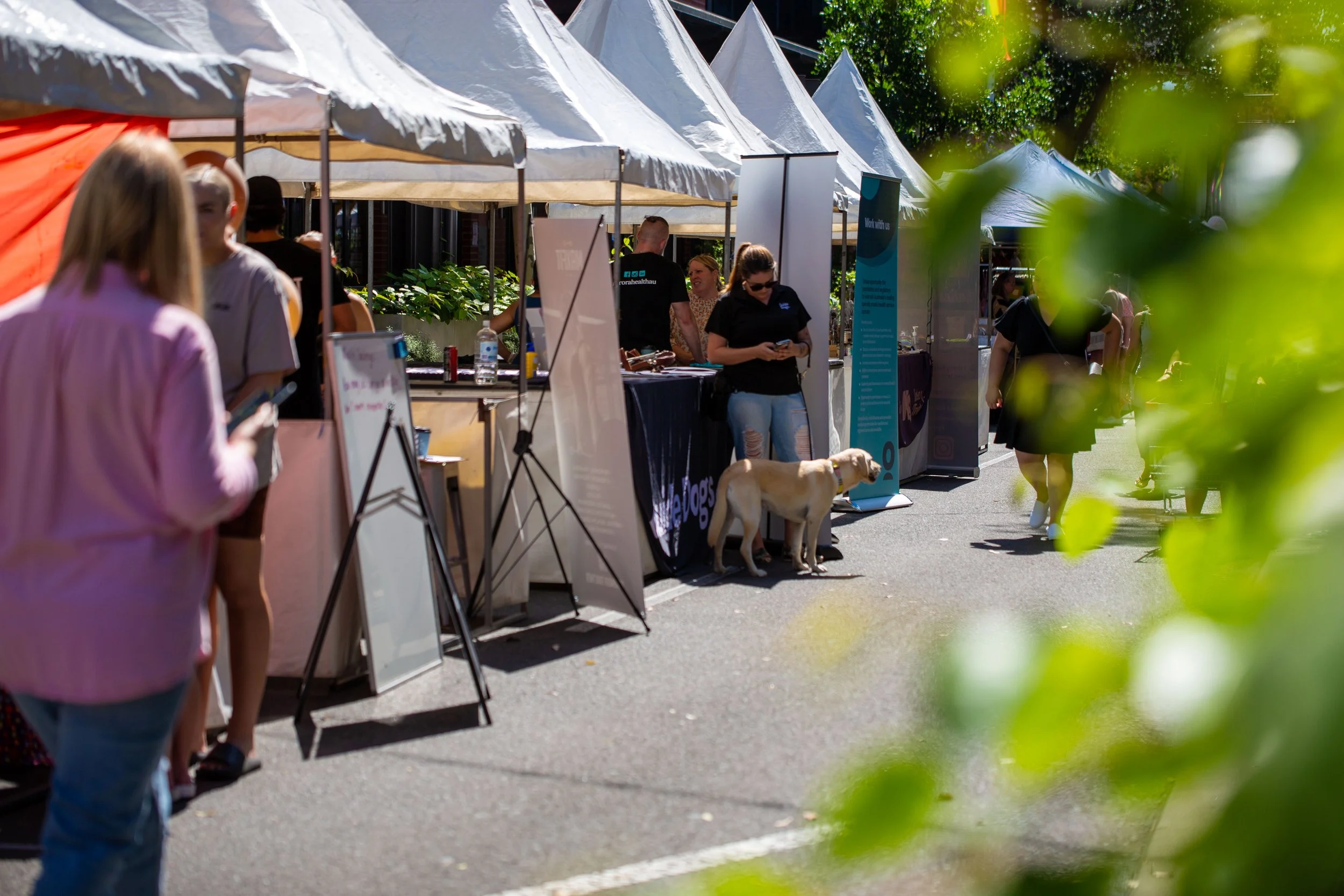 Outdoor street fair with white tents and people browsing booths; a yellow Labrador retriever dog standing next to a woman in front of a booth; some individuals using smartphones, sunlight, and greenery in the background.