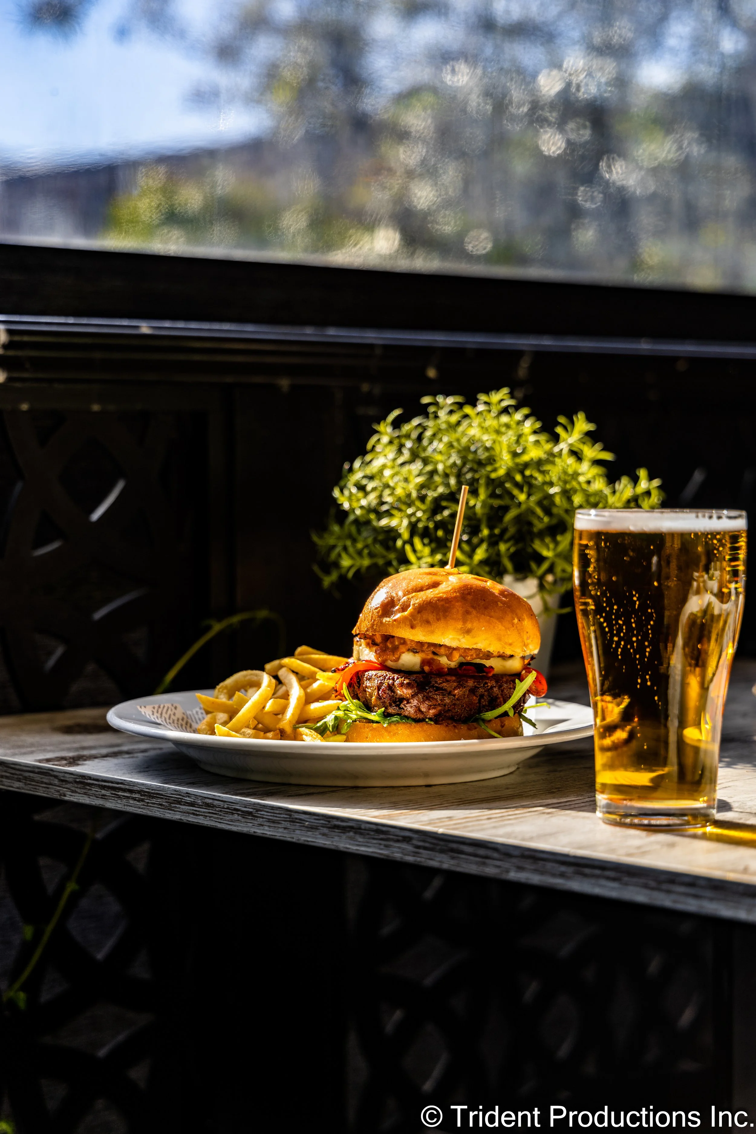 A plate with a cheeseburger, French fries, and a glass of beer on a wooden table with a green plant in the background.
