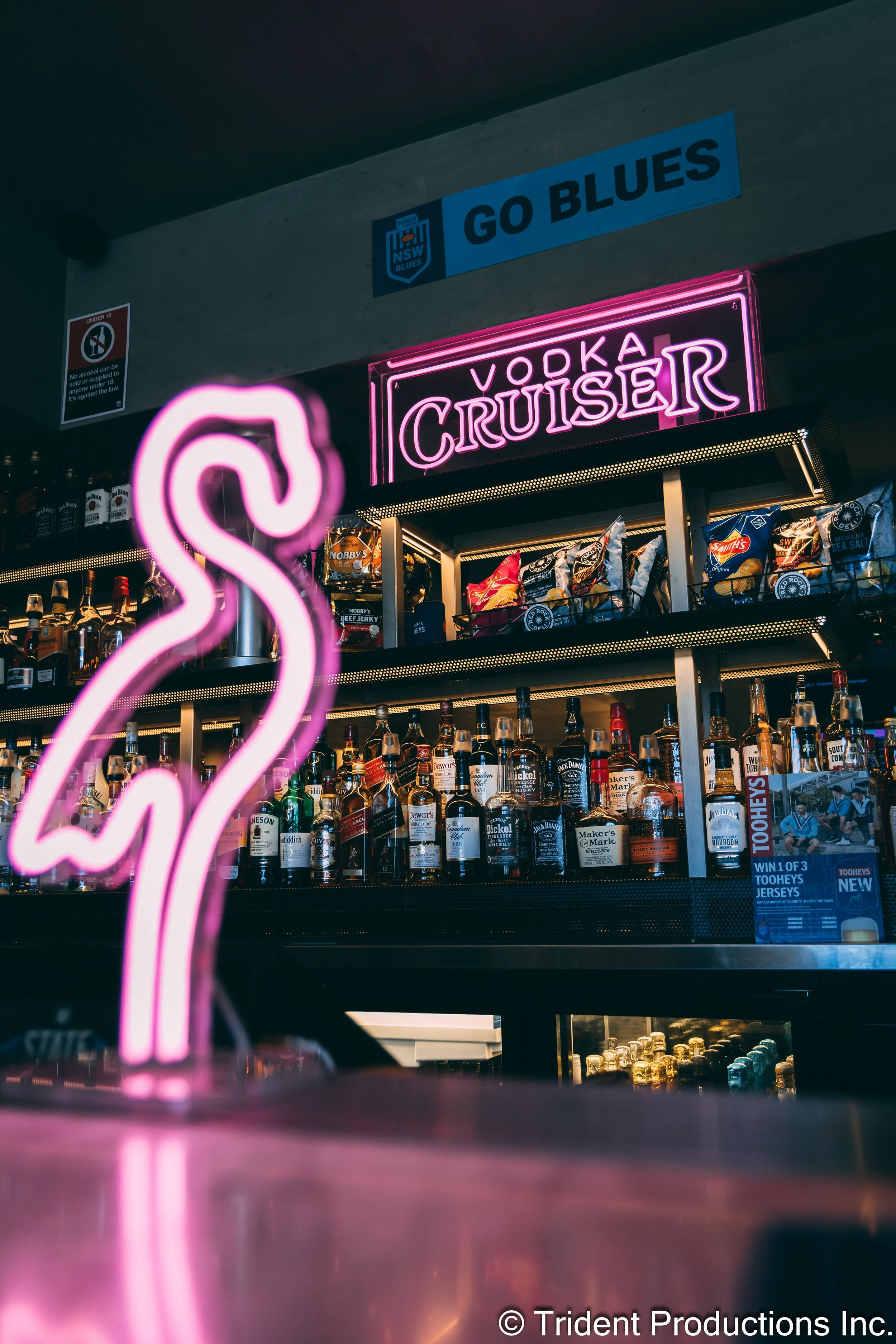 Bar with neon pink flamingo sign in front, bottles of liquor on shelves, neon pink sign reading "VODKA CRUISER", and a blue sign saying "GO BLUES".