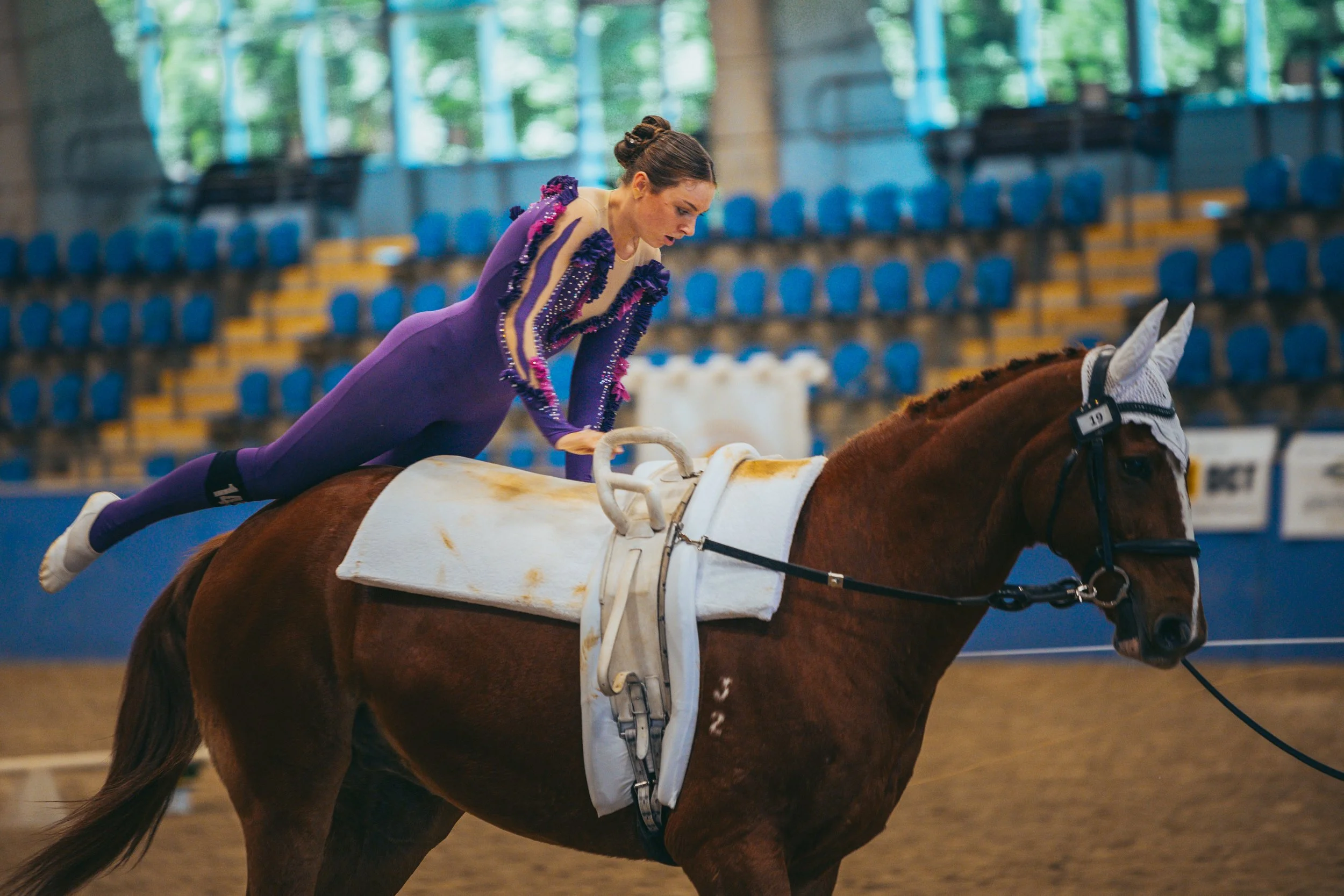A female equestrian athlete in a purple riding outfit performing a stunt on a brown horse inside an indoor arena with blue spectator seats.