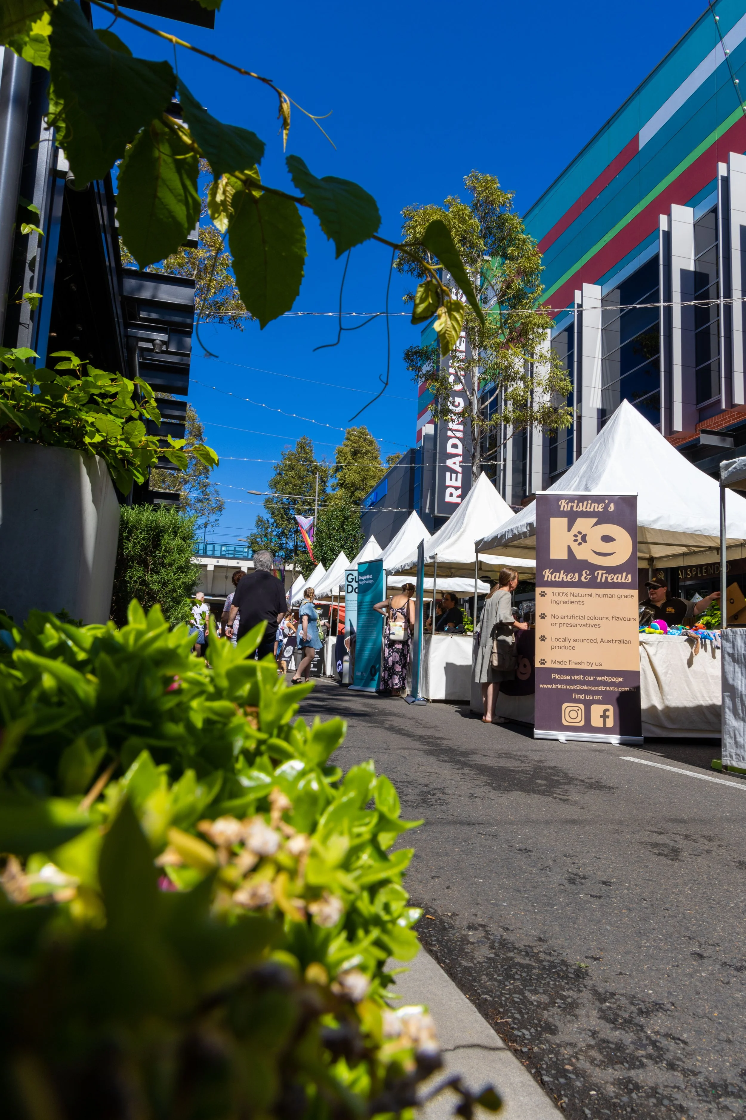 Outdoor market with white tents, people shopping, a sign for Kristine's KO Treats, modern buildings, a clear blue sky, and lush green plants in the foreground.