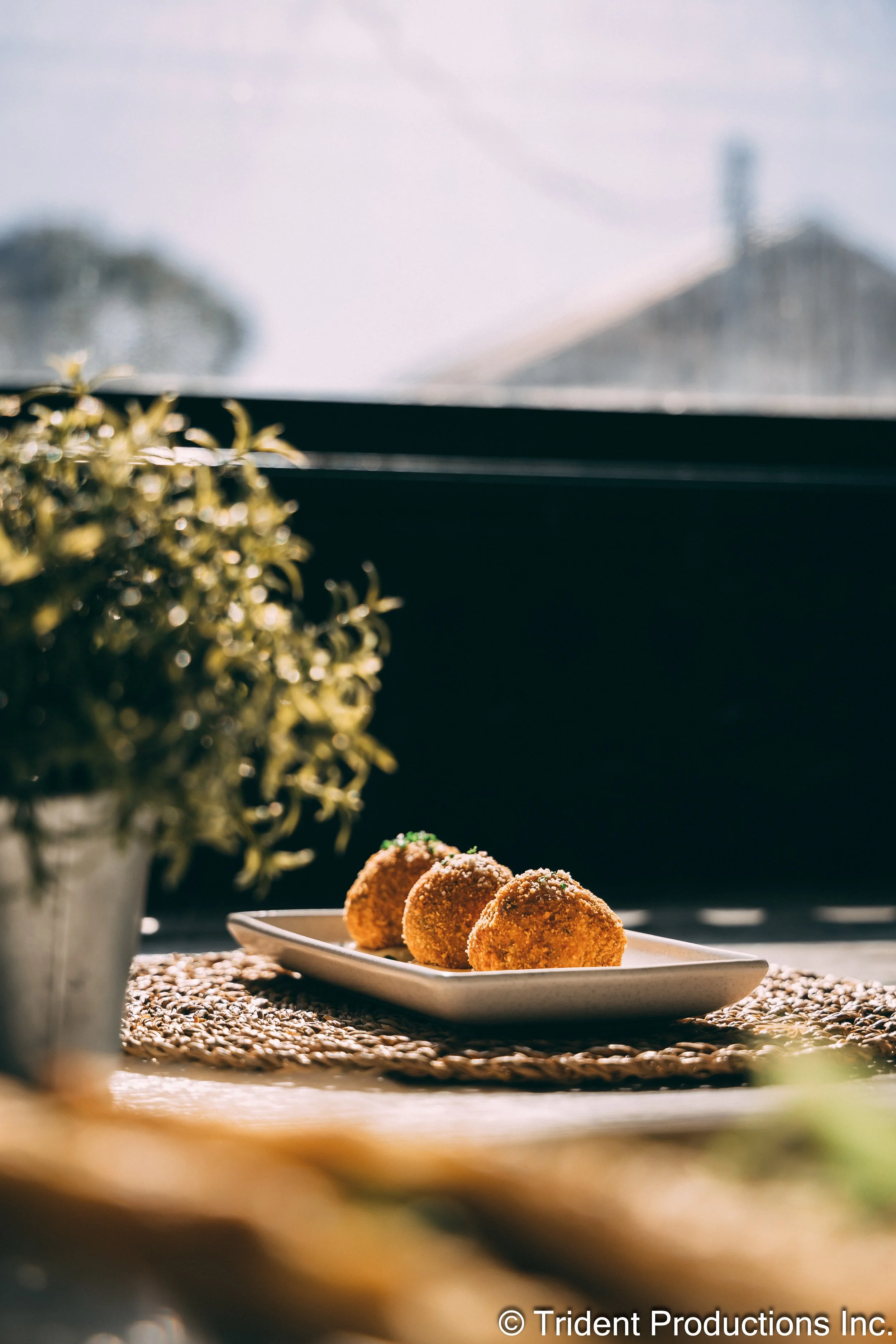 Three breaded fried foods on a white rectangular plate, placed on a woven placemat by a window with a blurred indoor plant in the foreground and a house roof and sky in the background.