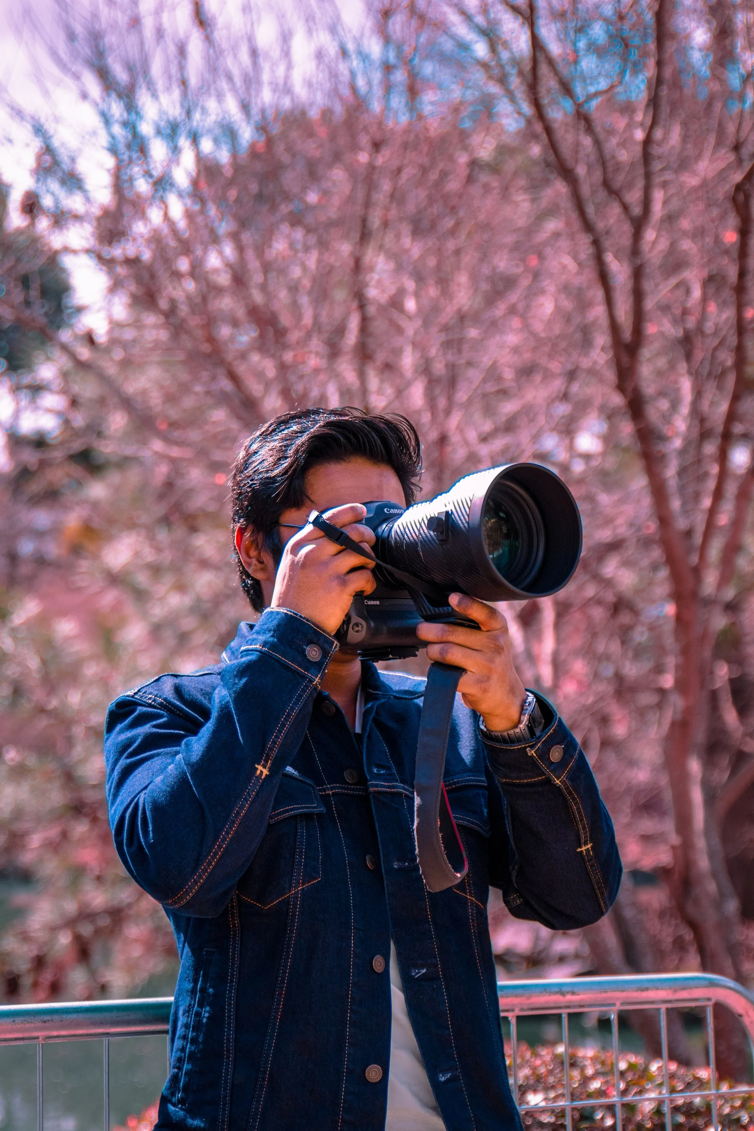 A person in a denim jacket holding a professional camera, taking a photo outdoors with pink flowering trees in the background.