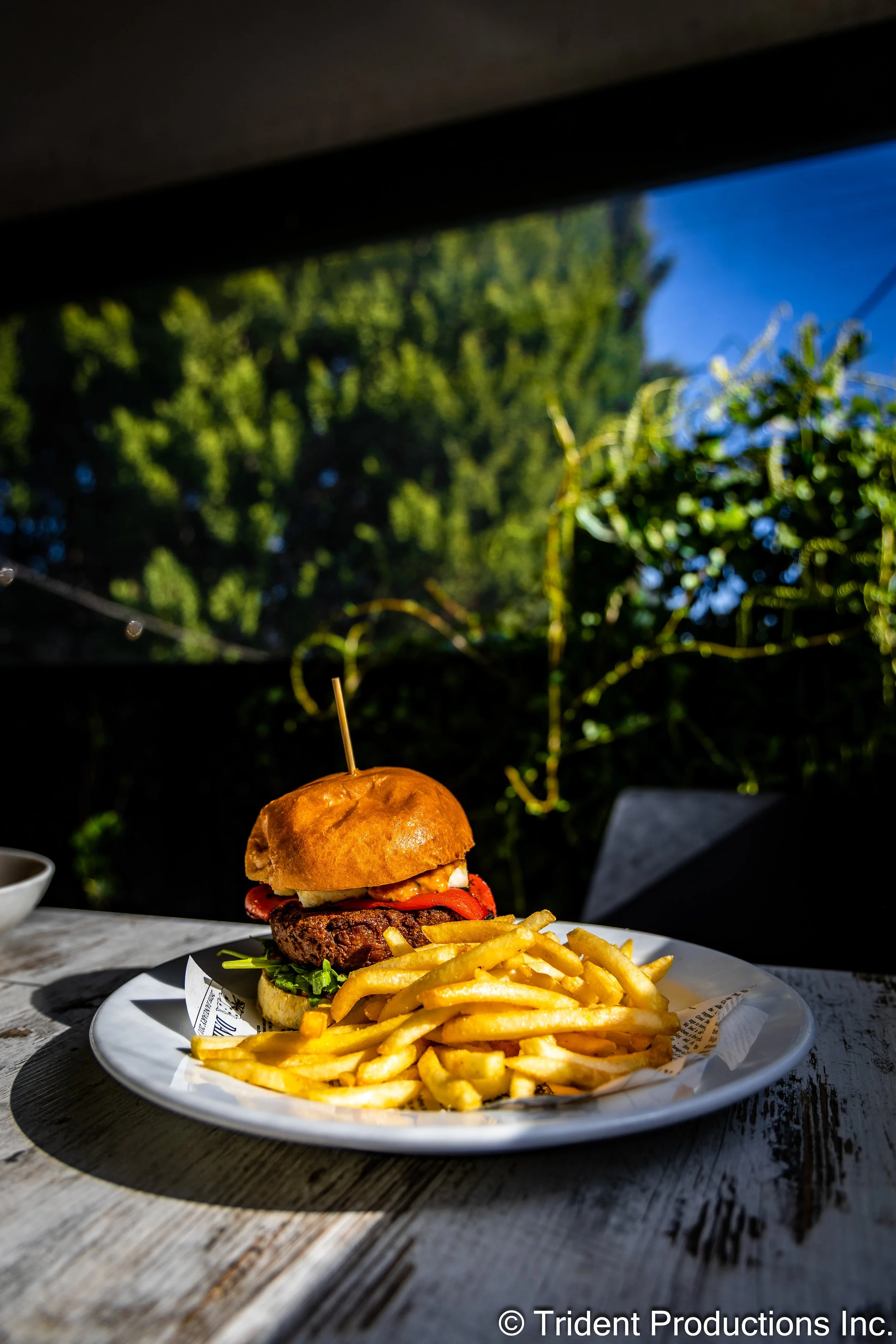 A plate with a cheeseburger and French fries, set on a wooden table outside against a background of greenery and blue sky.