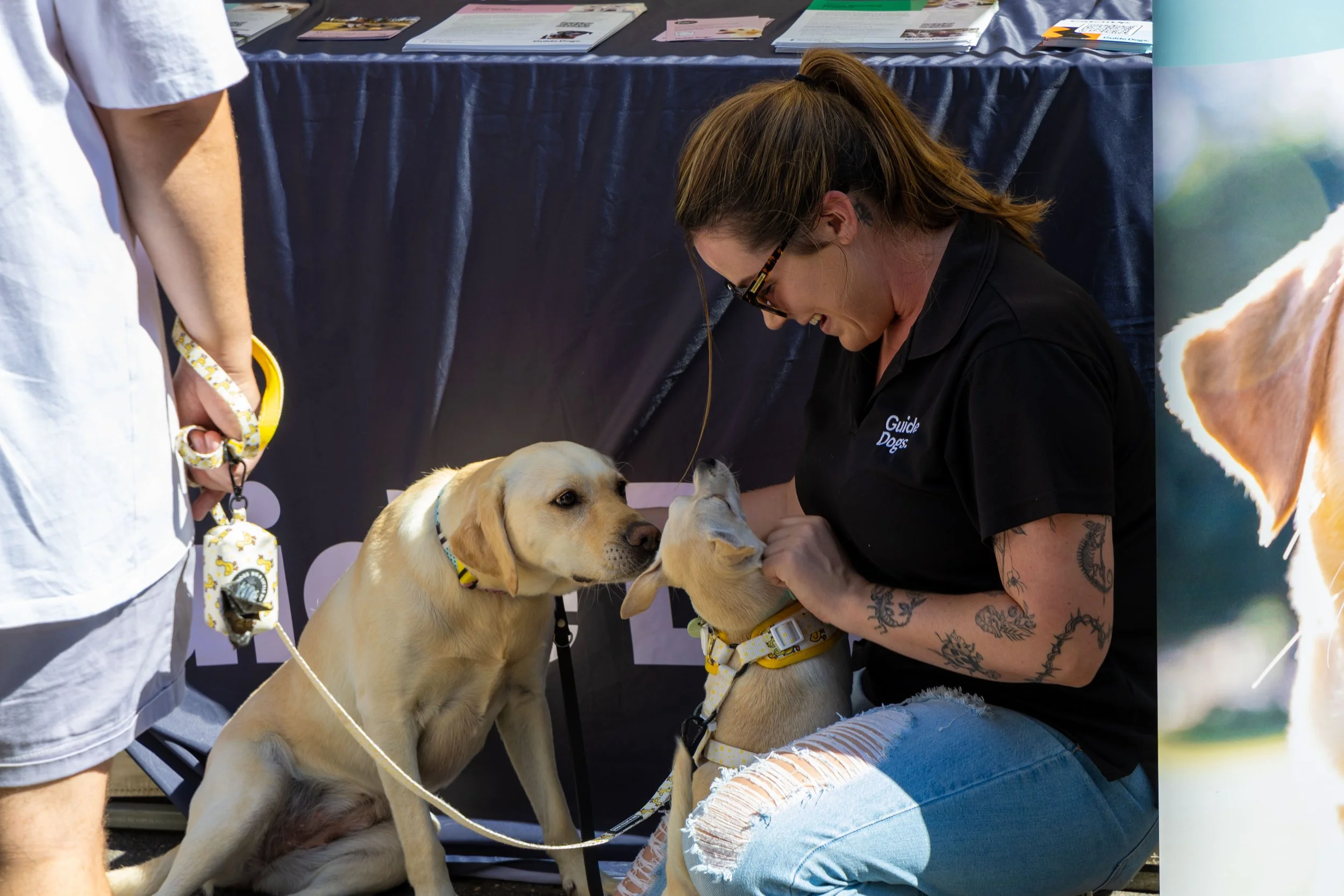 A woman with tattoos and glasses, wearing a black shirt with the words 'Guide Dogs', is kneeling and interacting with two yellow Labrador puppies at an indoor event. A person on the left holds a yellow leash attached to one puppy, which is sitting an