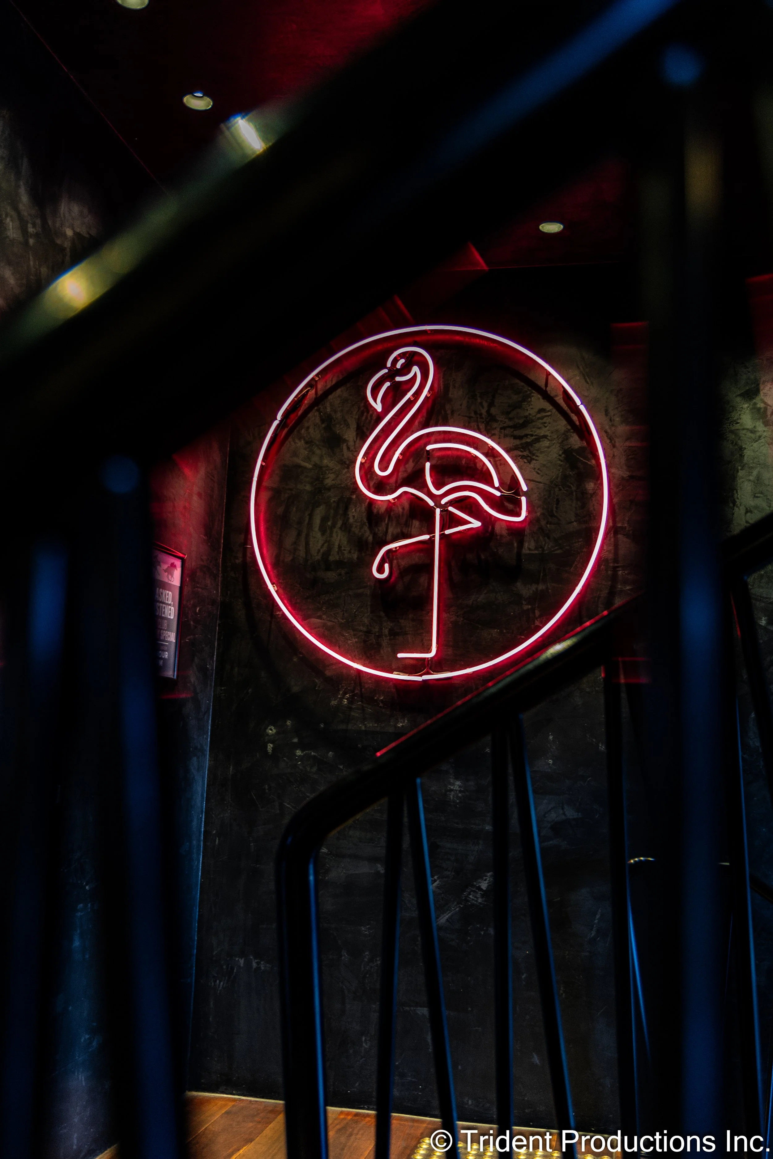 Neon pink flamingo sign on a dark wall with black metal railing in front.