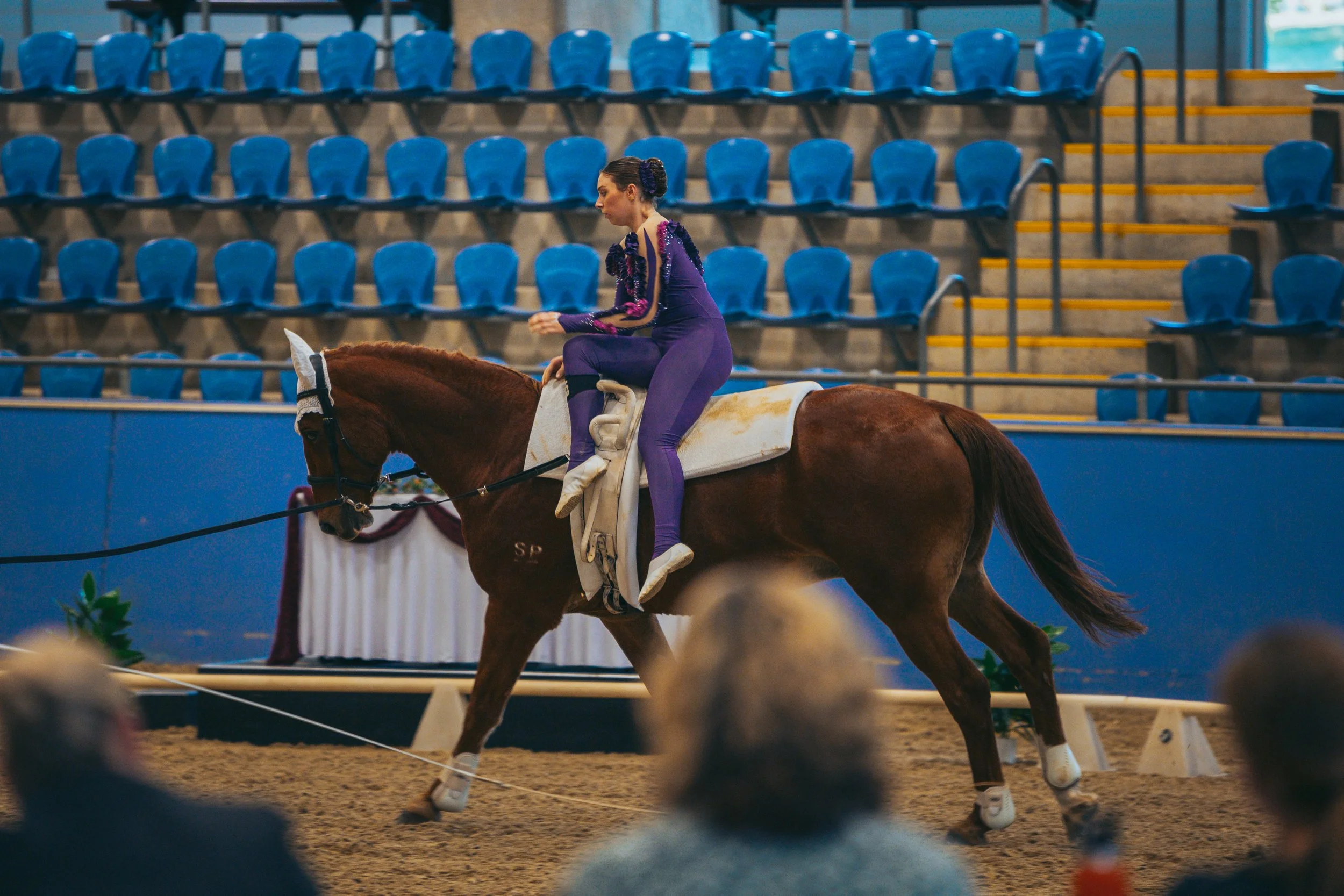 A woman dressed in a purple gymnastics costume riding a brown horse inside an indoor arena with blue spectator seats.