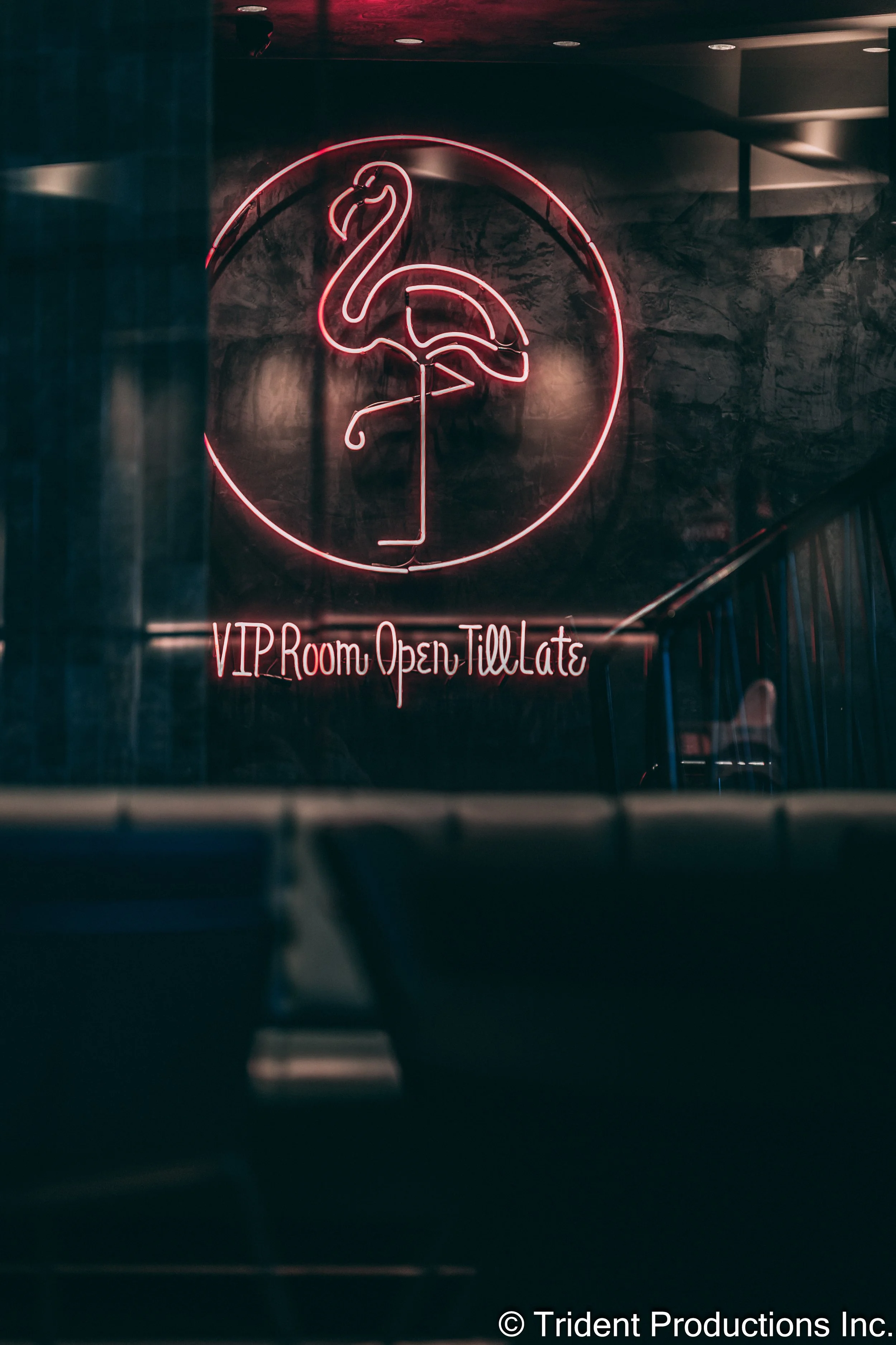 Neon pink flamingo logo with 'VIP Room Open Till Late' text beneath it.