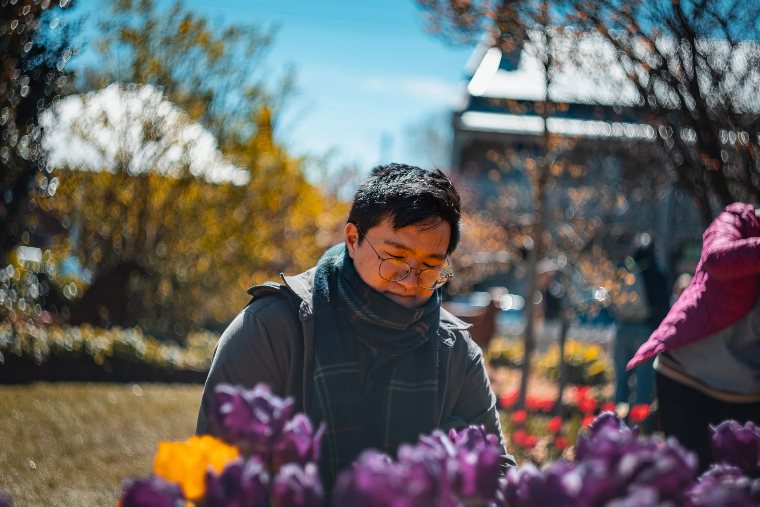 A person with glasses and a scarf looking down at flowers in a park with autumn trees in the background.