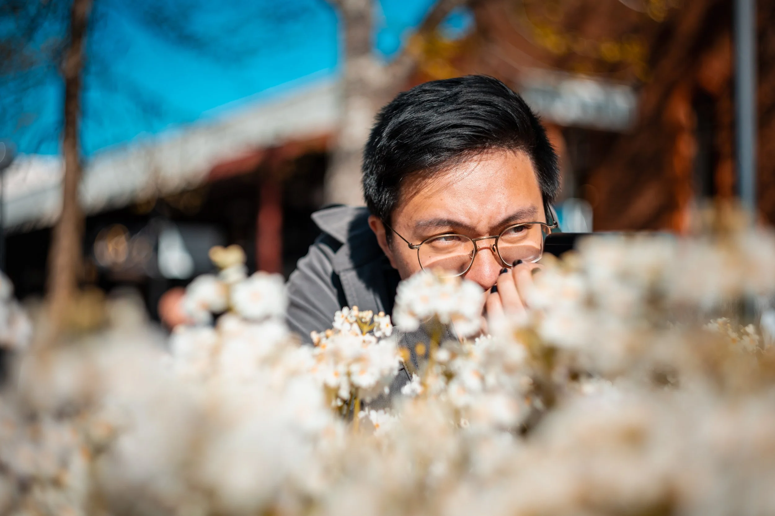 A man with glasses looking closely at white flowers outdoors on a sunny day.