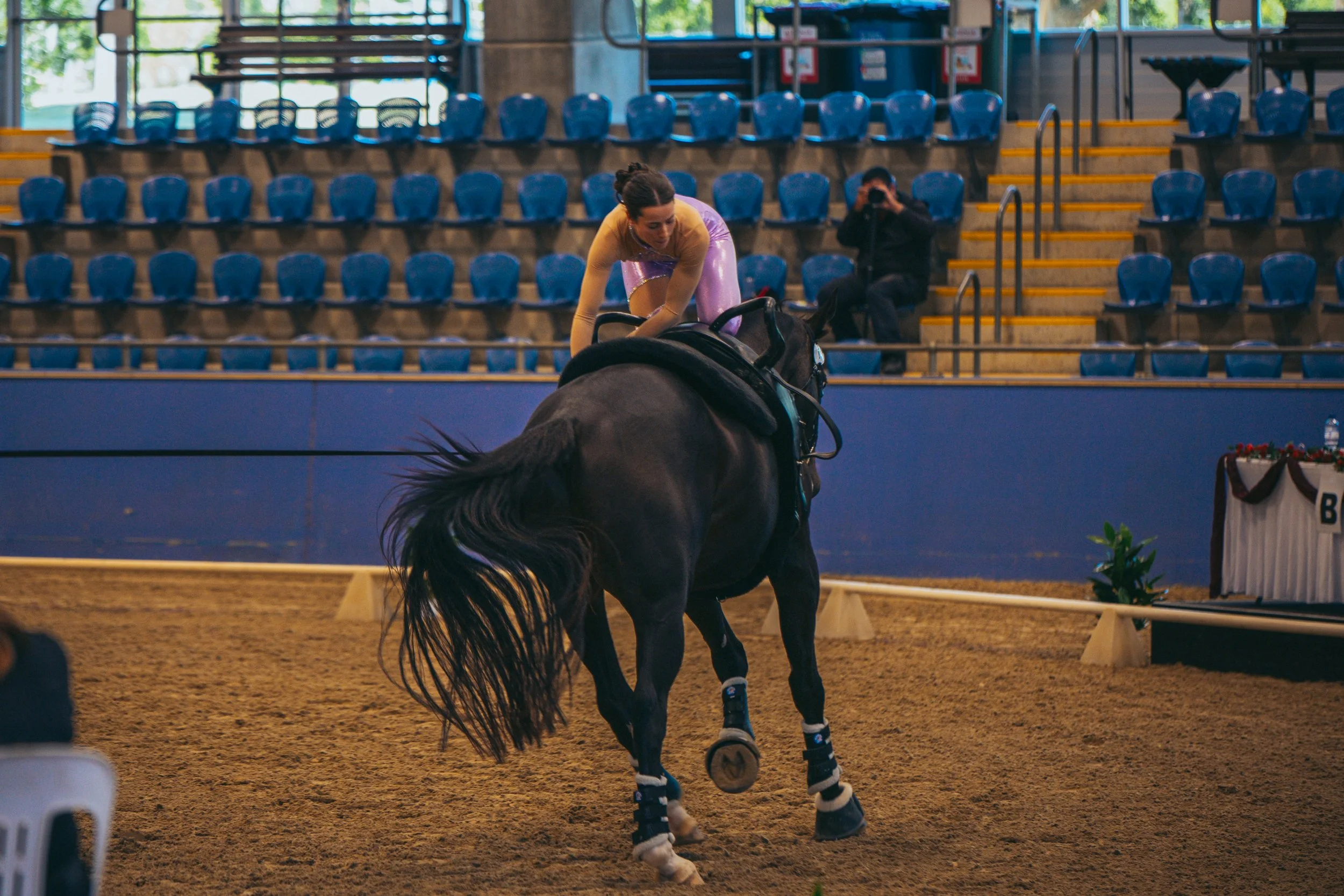 A female equestrian rider in purple and gold riding attire performs a vaulting trick on a black horse inside an indoor arena with blue seating and a photographer sitting on the steps.