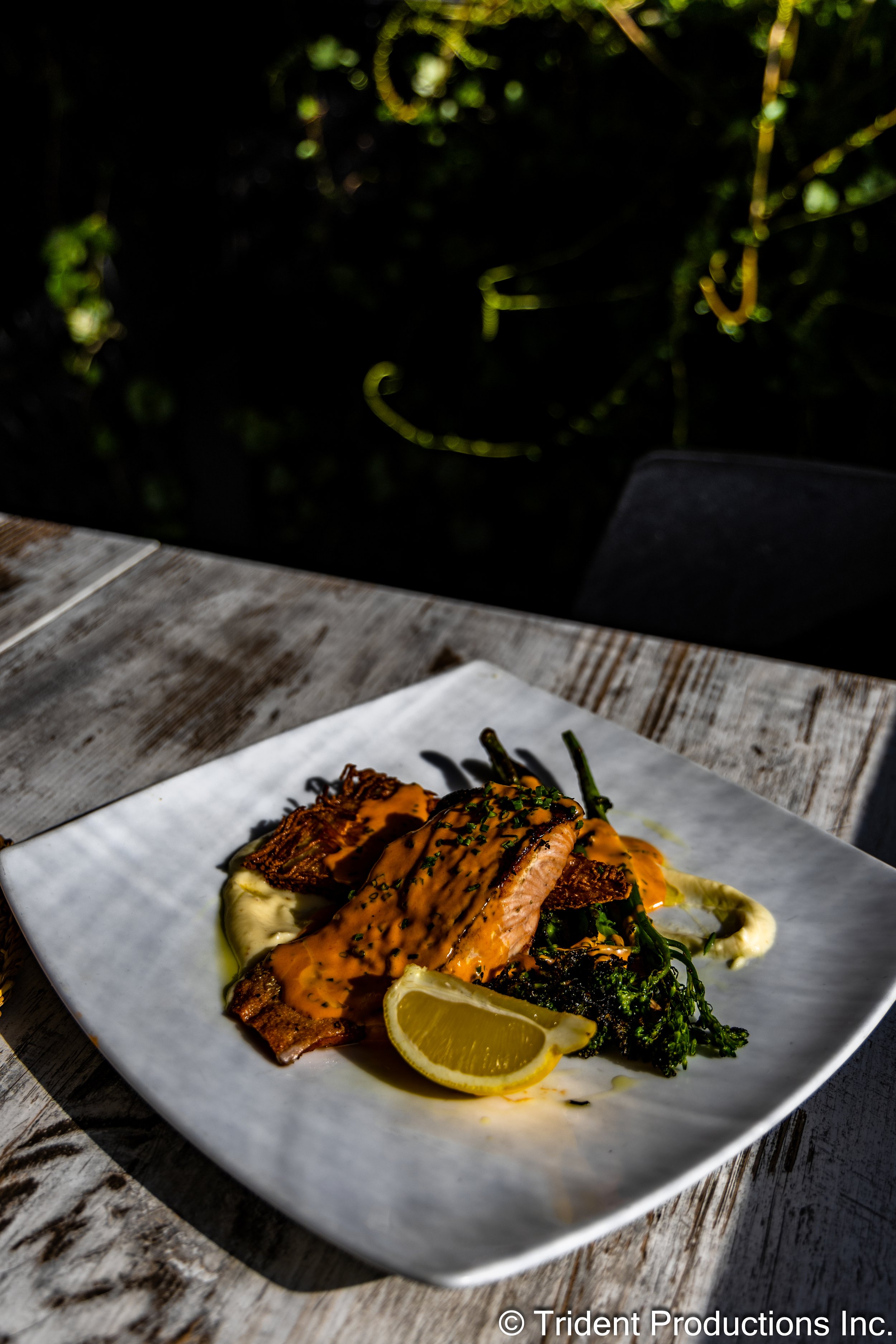 Plate of cooked salmon with sauce, grilled bacon, greens, a lemon wedge, and sauce drizzled on top, on a white square plate on a wooden table in sunlight.