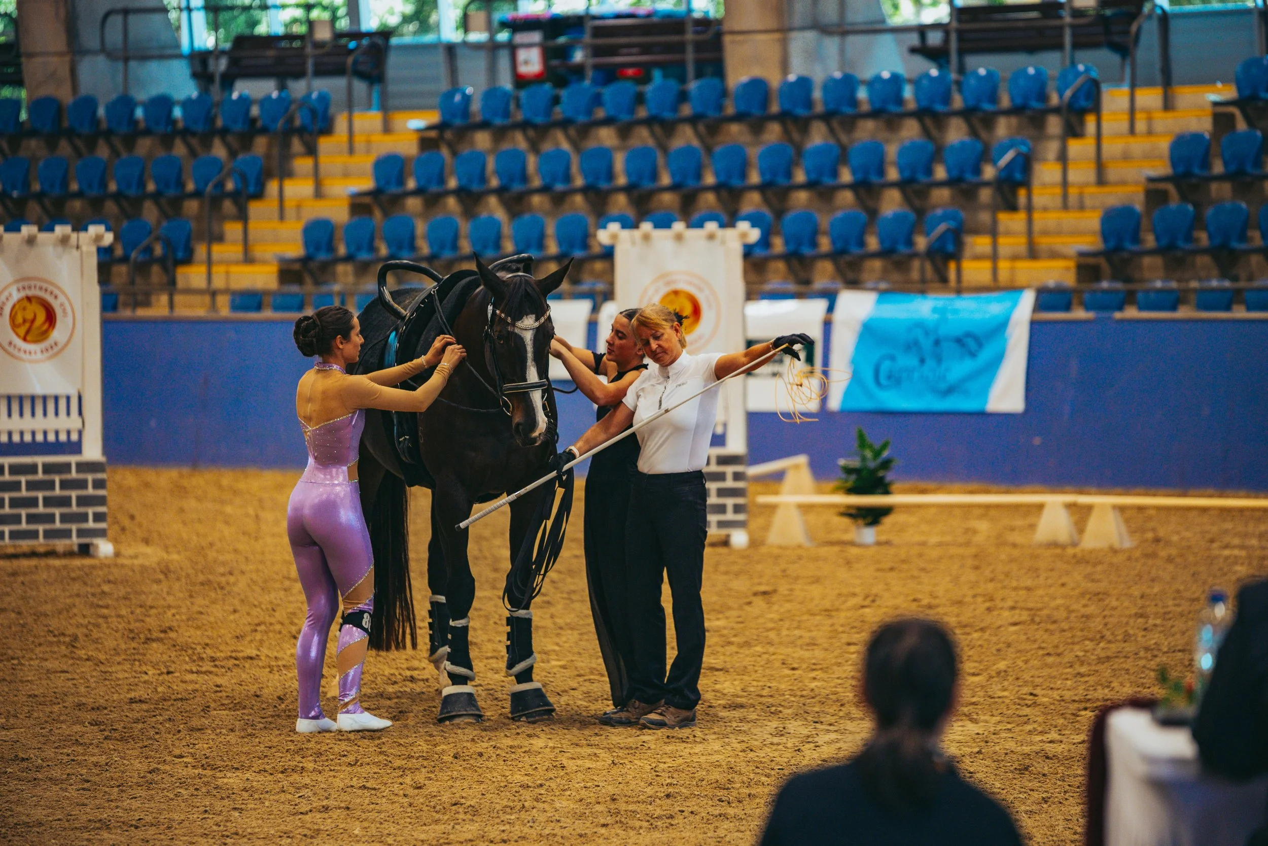 Three women attending to a black horse inside an indoor arena with empty blue seats in the background. One woman is adjusting the saddle, another appears to be speaking to the horse, and the third is holding a long stick. There are banners on the wal