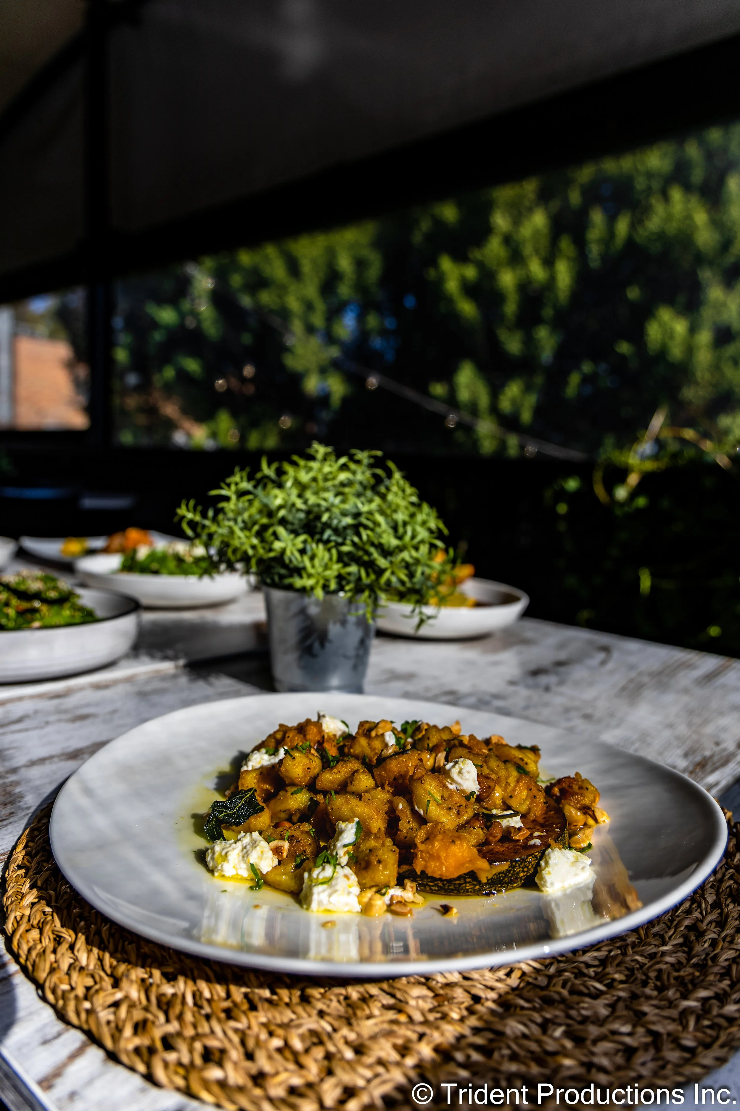 Close-up of a plated dish featuring cooked vegetables on a table outdoors, with a potted plant and additional dishes in the background, set against a backdrop of trees and sky.