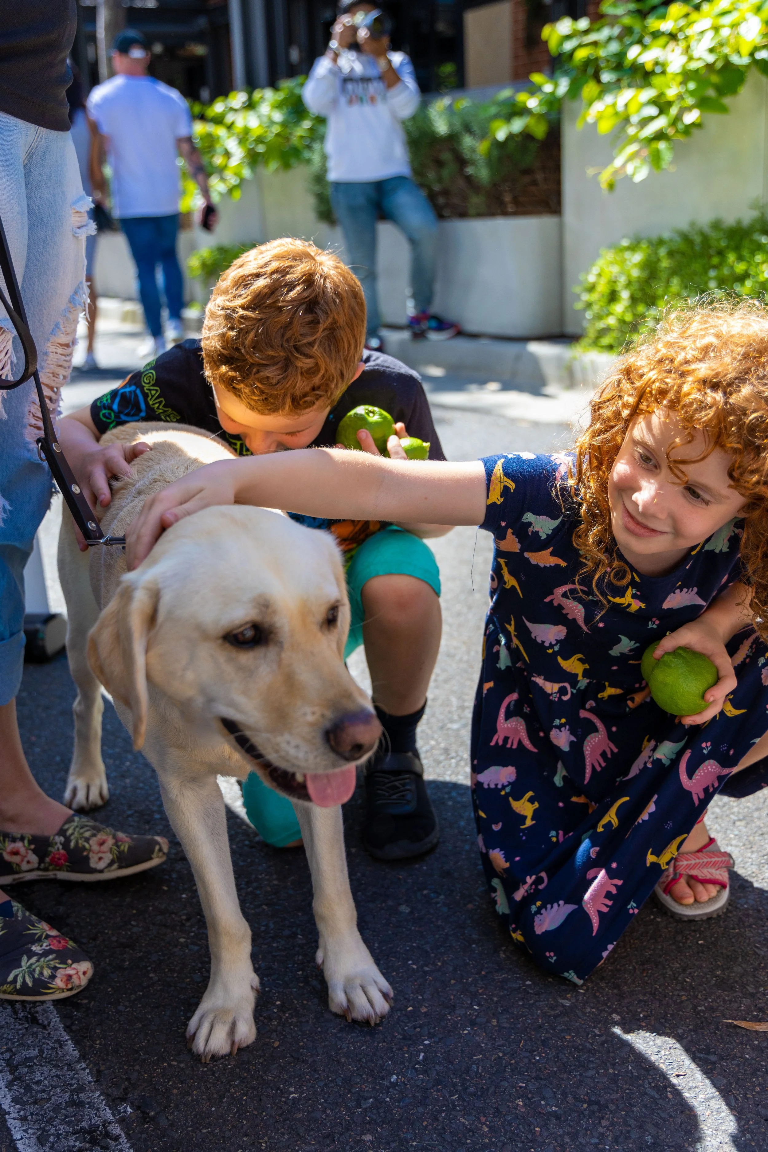 Two children pet a yellow Labrador retriever dog on a street, holding green limes in their hands, while adults and other children in the background.