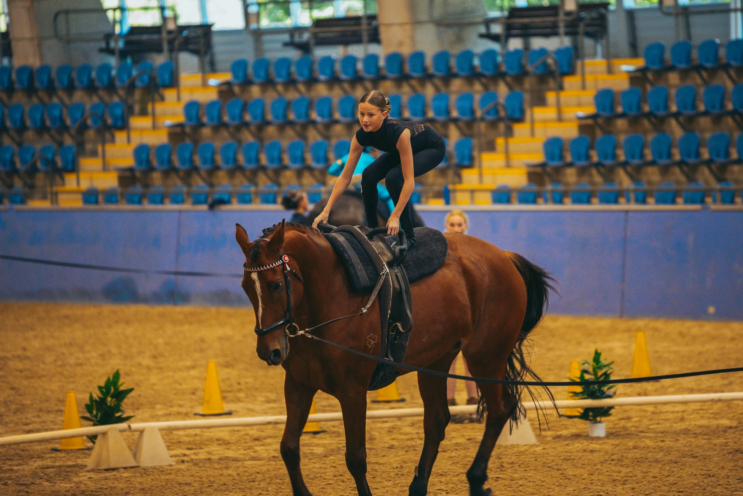 A young girl in black riding attire practicing equestrian riding on a brown horse with a dark mane, inside an indoor riding arena with seating in the background.