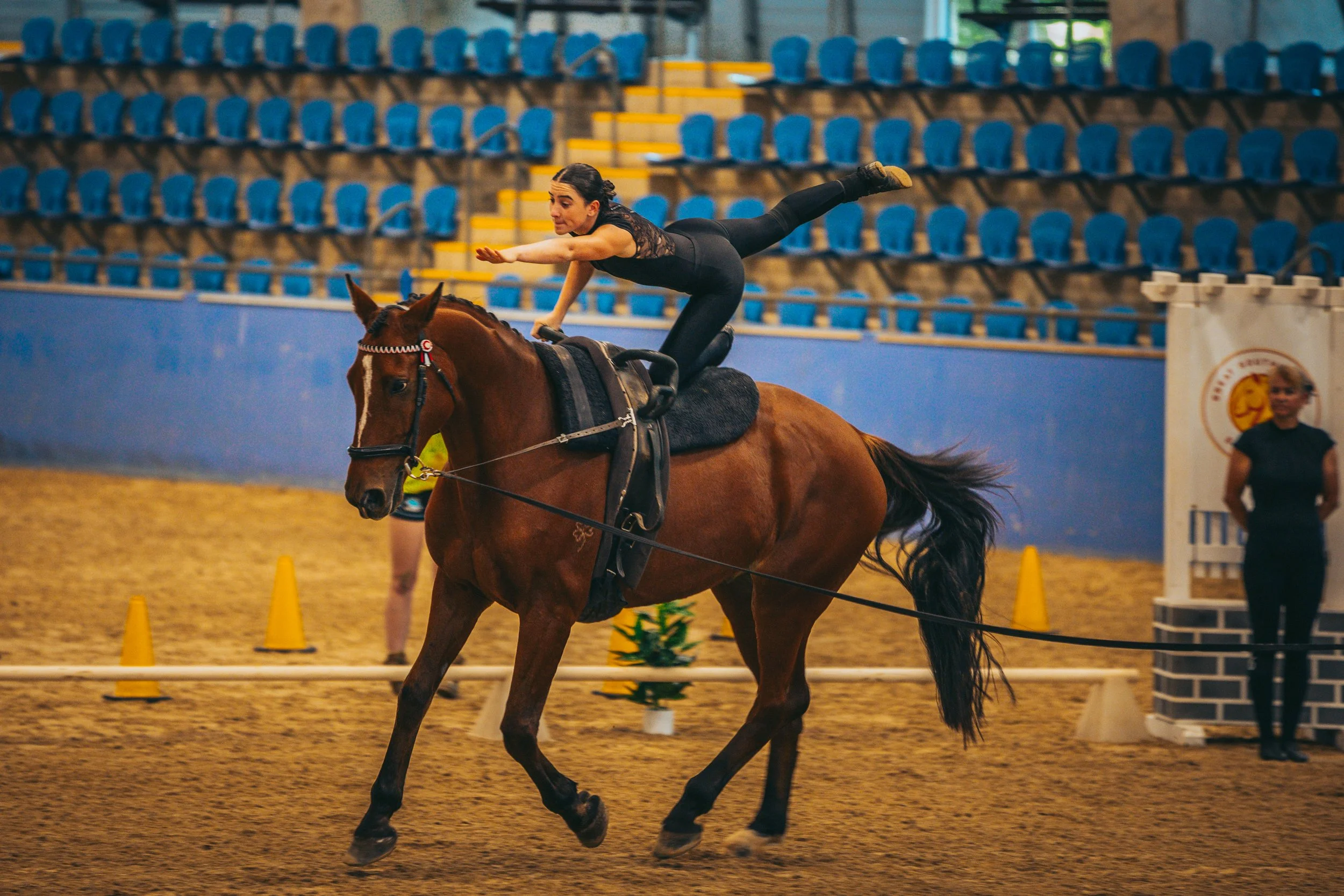 A female equestrian in black riding attire performs a stunt on a galloping brown horse inside an indoor arena with blue seats in the background.