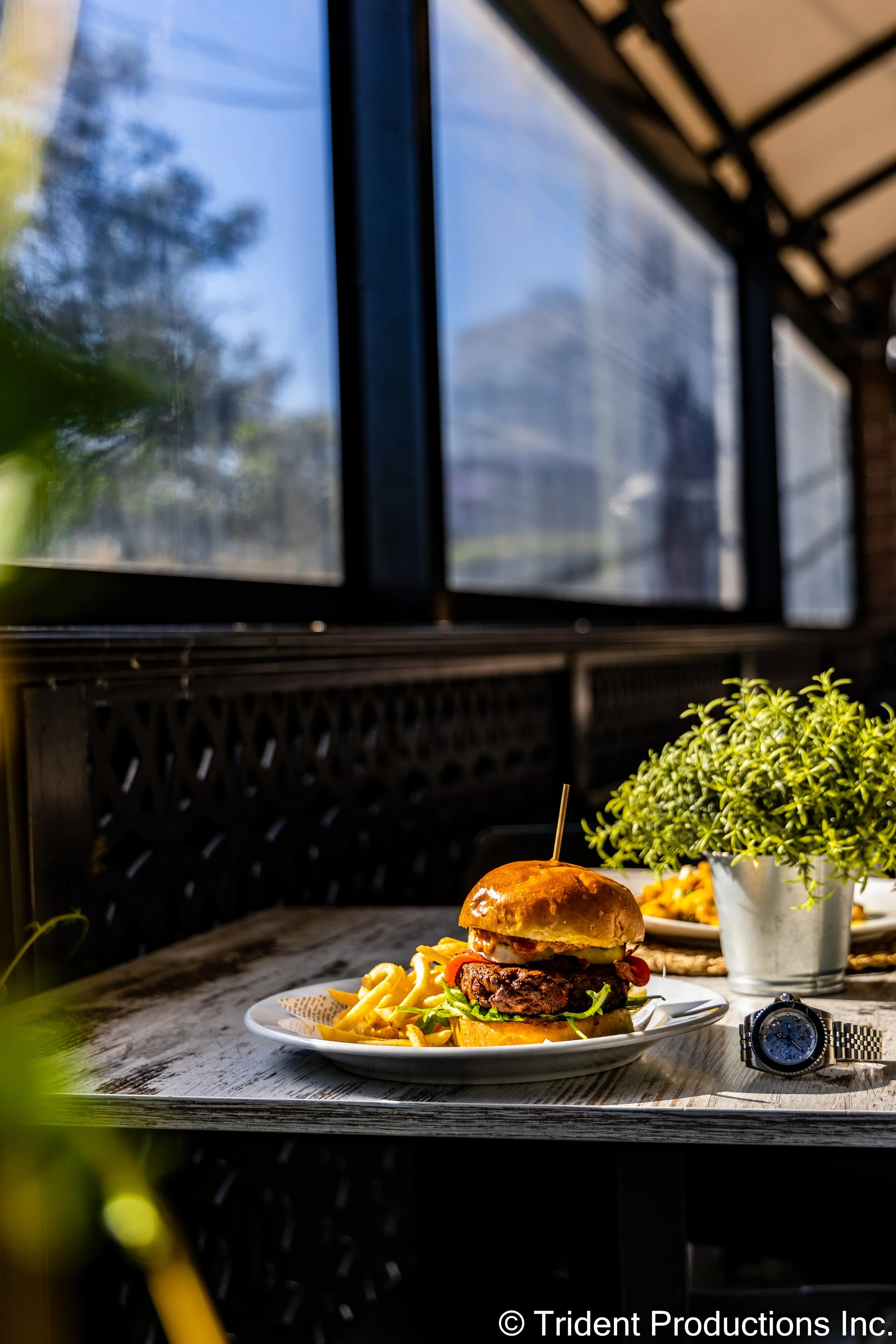 A plate with a burger and fries on a wooden table, near a potted plant and a wristwatch, with a window in the background.