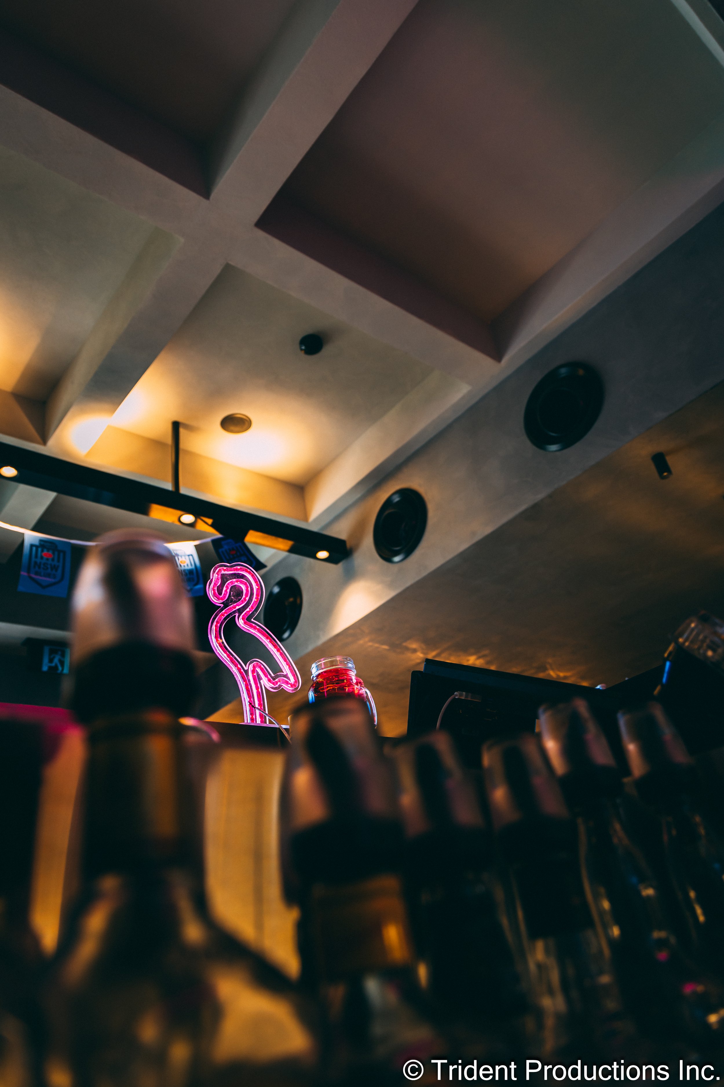 Bar scene with a neon flamingo decoration, bottles of alcohol in the foreground, and a person with a blurred face at the counter, with ceiling lights and speakers visible.