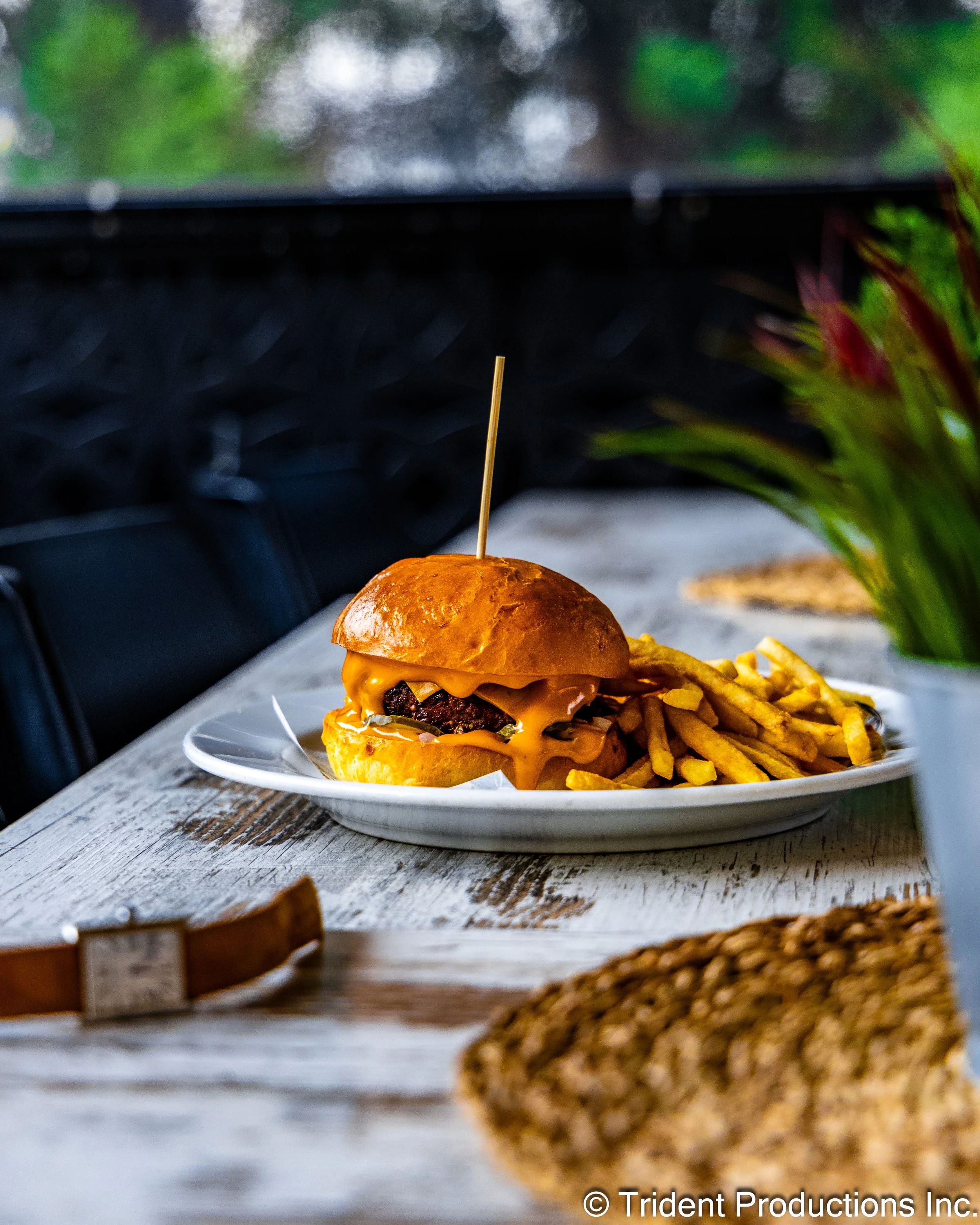 Burger with cheese and French fries on a white plate on a wooden table with a plant in foreground.