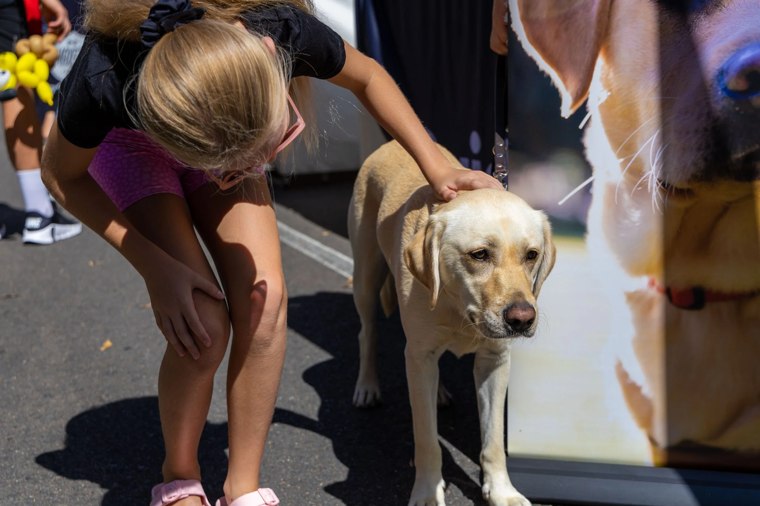 A young girl petting a yellow Labrador Retriever outside near a large poster of a dog.