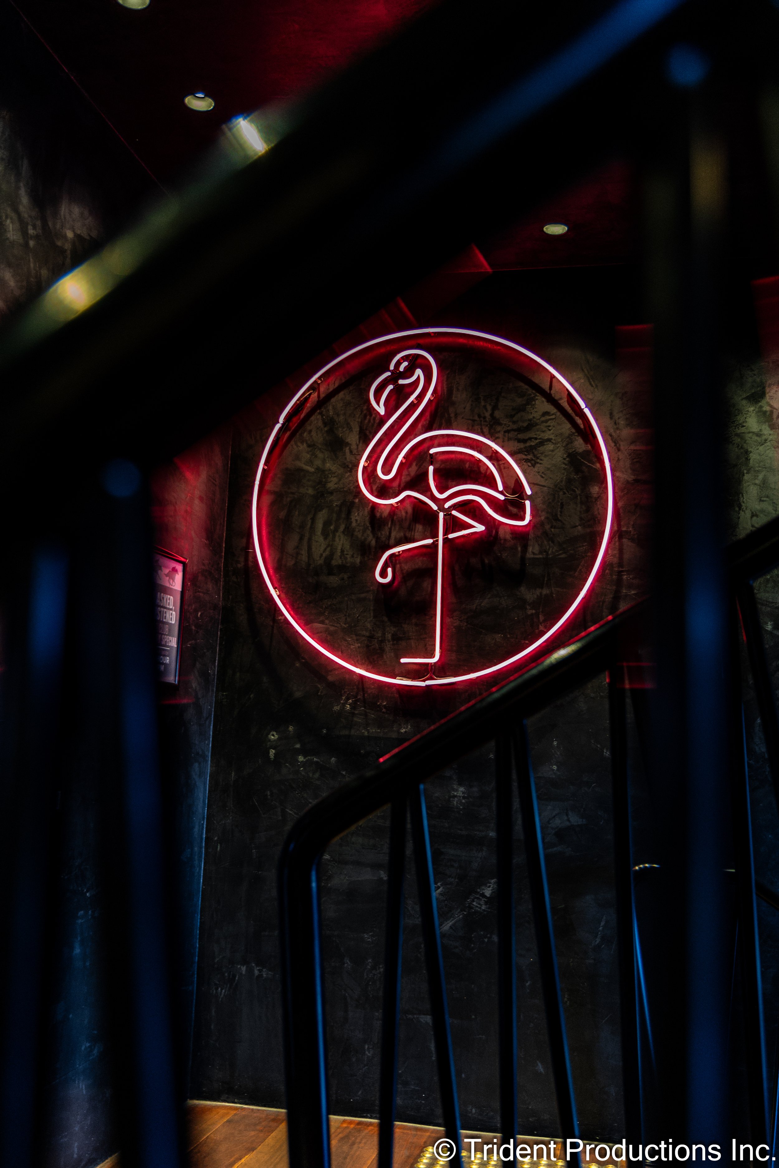 Neon flamingo sign on a dark wall, viewed from below with railing in front.