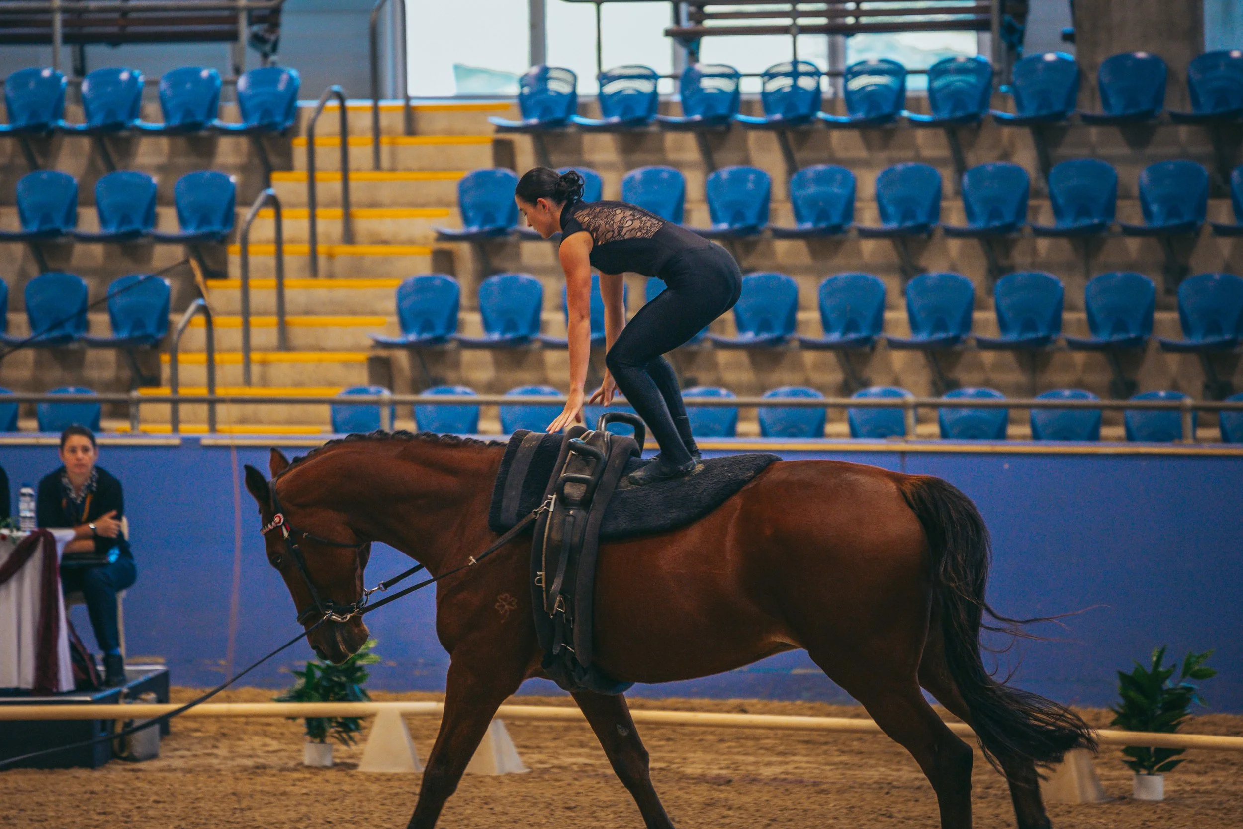 A woman in black attire is performing a dressage routine on a brown horse inside an indoor arena with blue seating in the background.