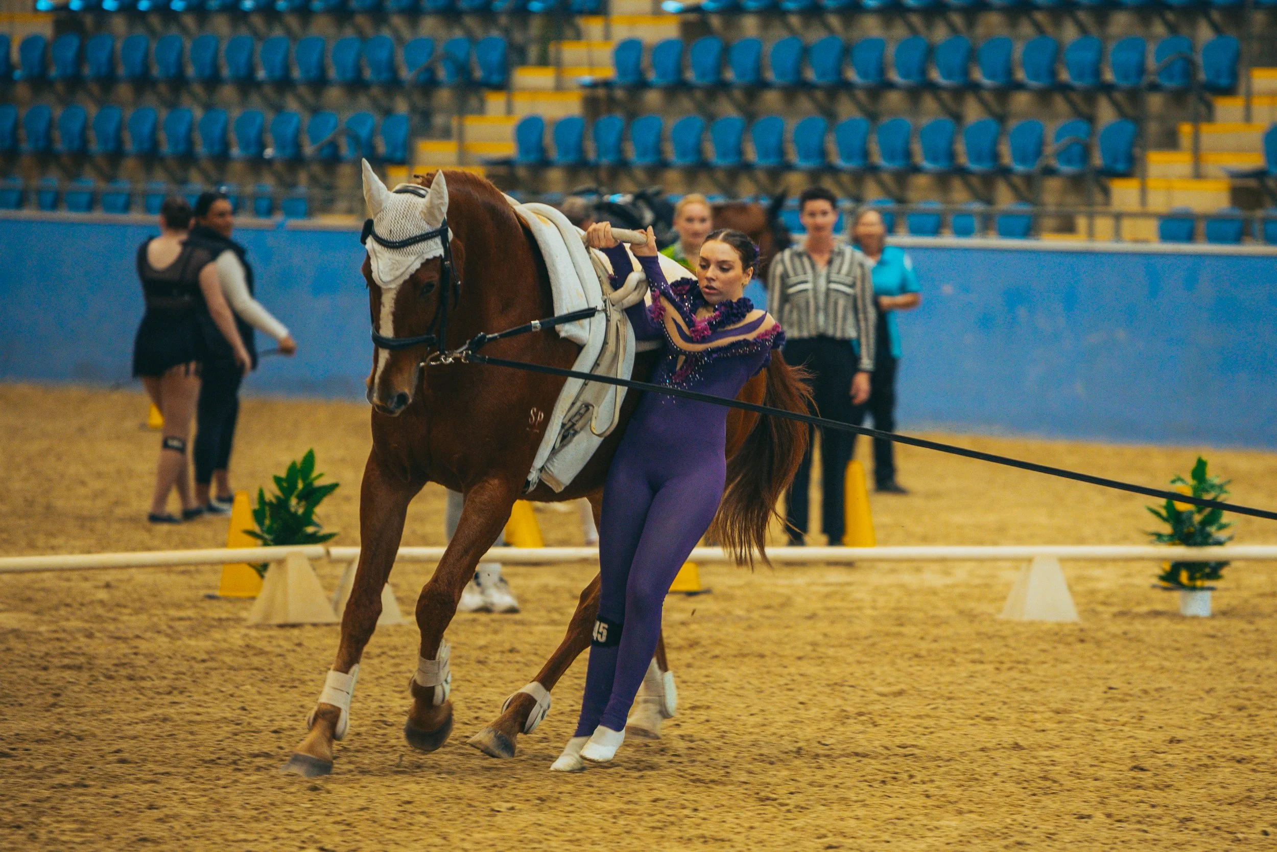 A female equestrian athlete in a purple riding suit assists a horse in an indoor arena during a riding competition, with spectators and officials in the background.